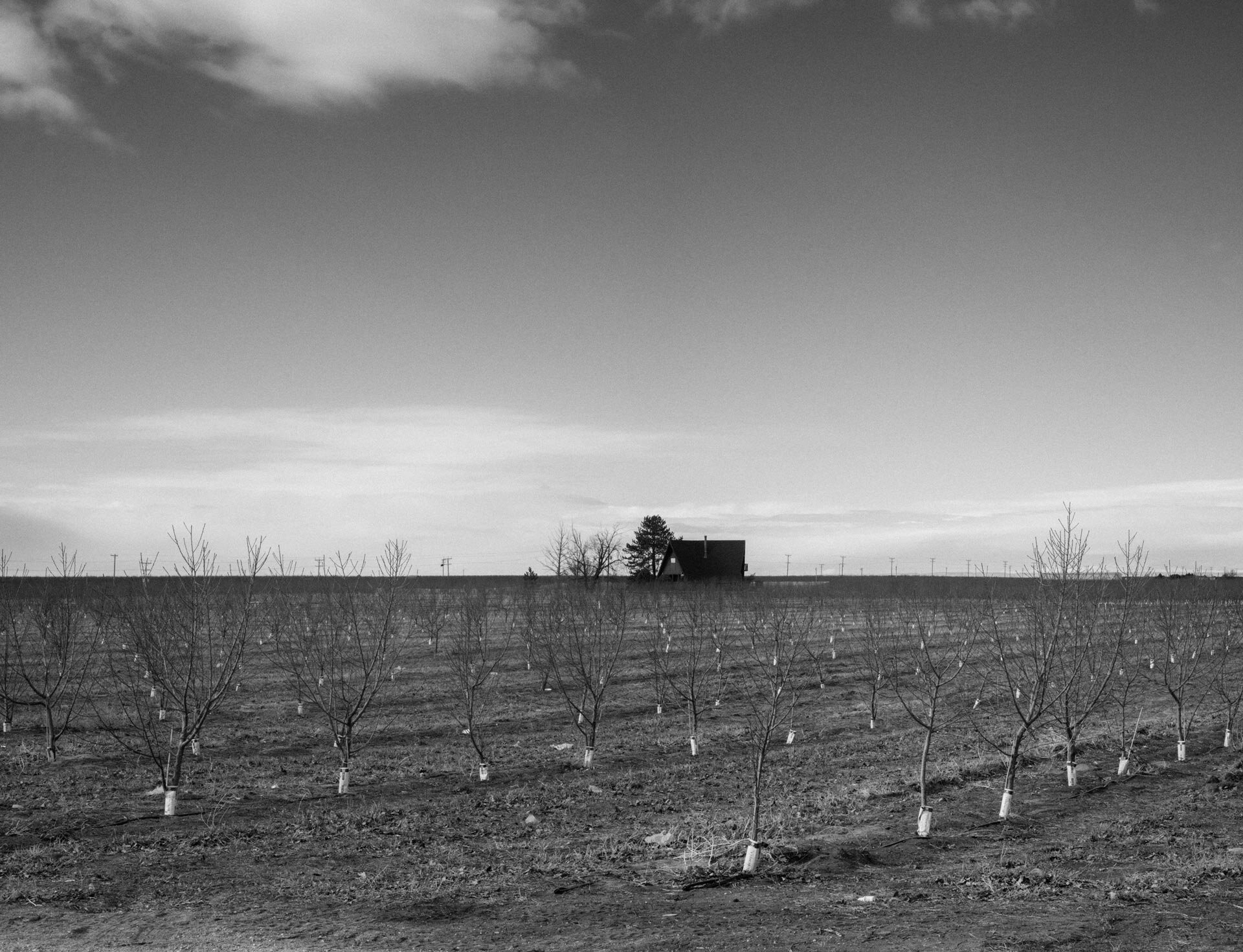 20210225-65-4946-Pano.jpg