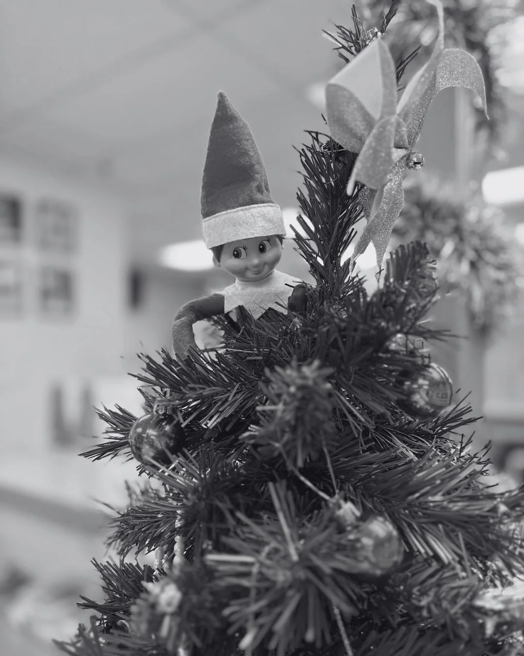 Merry Christmas to all those who celebrate! 🎄🎅🏼 We are wishing everyone an amazing and restful holiday season!! 

Here are just a few of elf-aba&rsquo;s adventures from this month! 

We cannot wait to see you all again Jan 5th ❤️