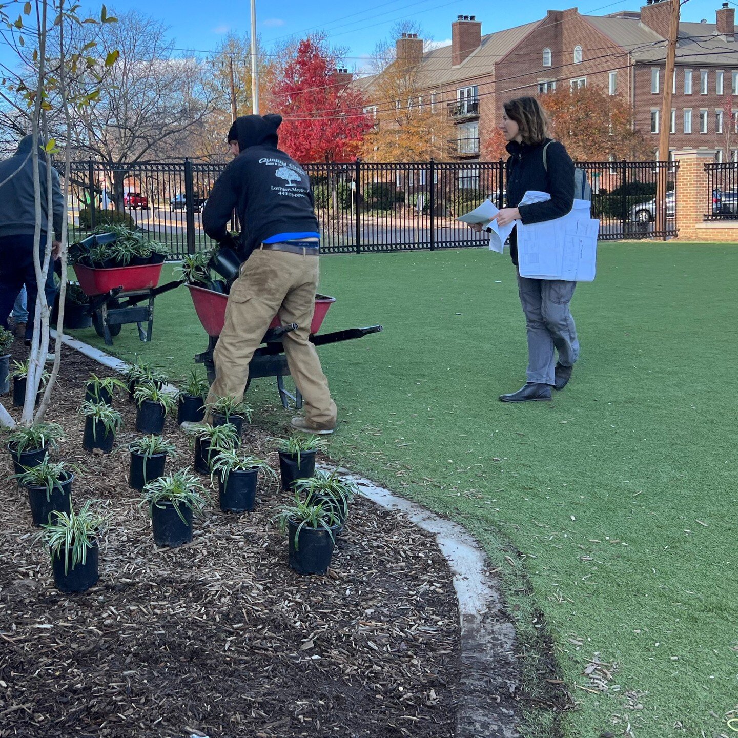 &bull; Old Town Playground &bull;
Installation 

#playgroundlandscape #landscapearchitecture #landscapearchitect #oldtownalexandria #nativeplants