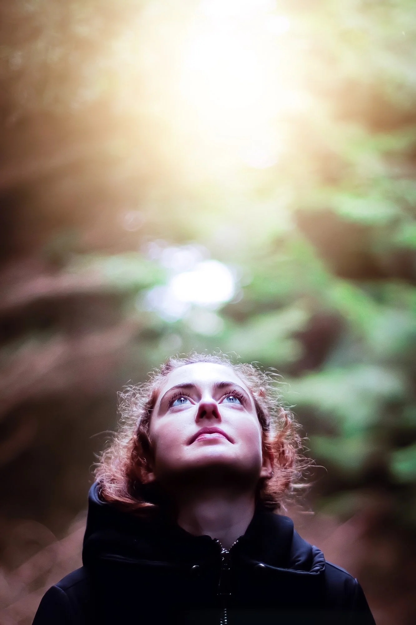 Eve Forest.JPG