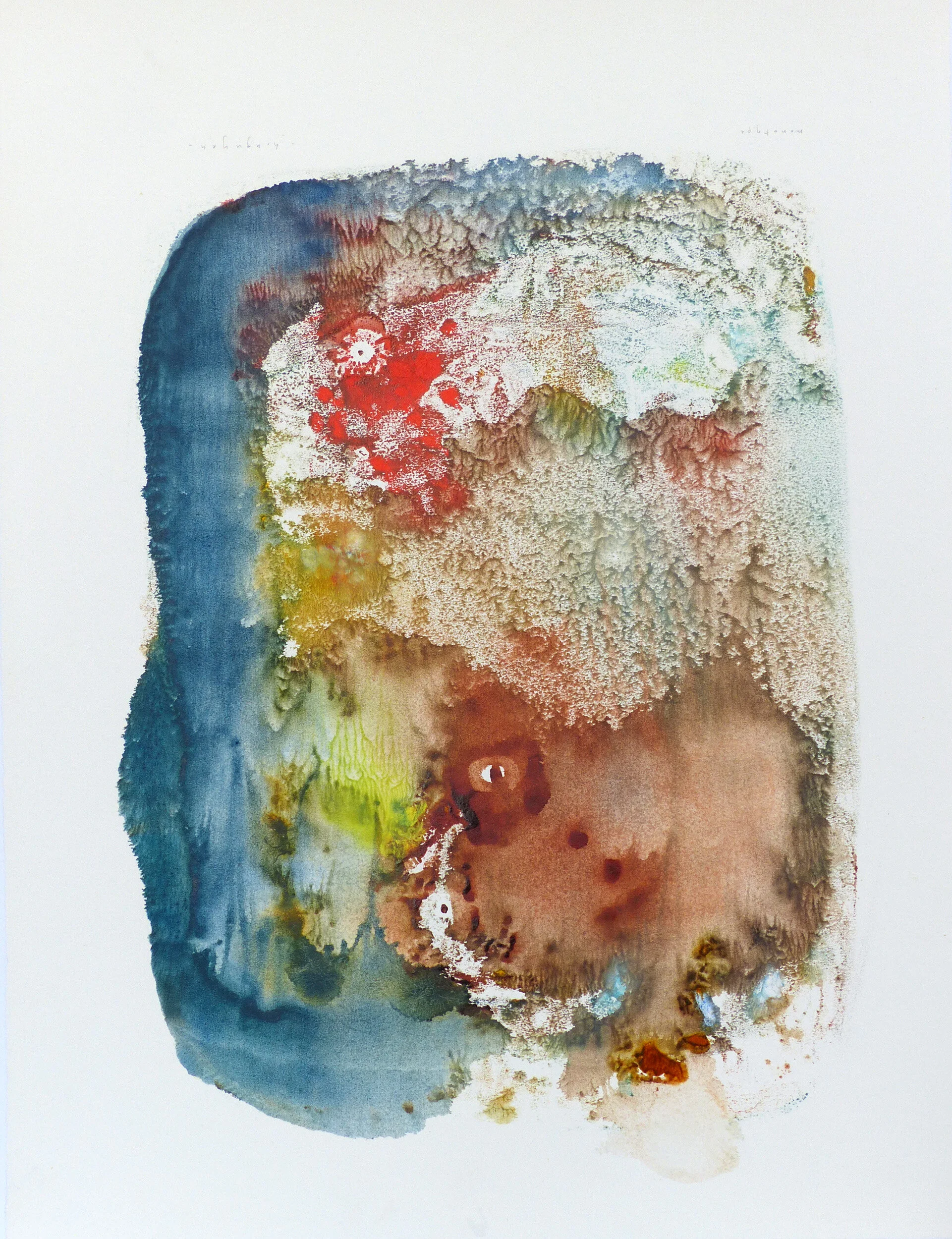 the octopus small.jpg