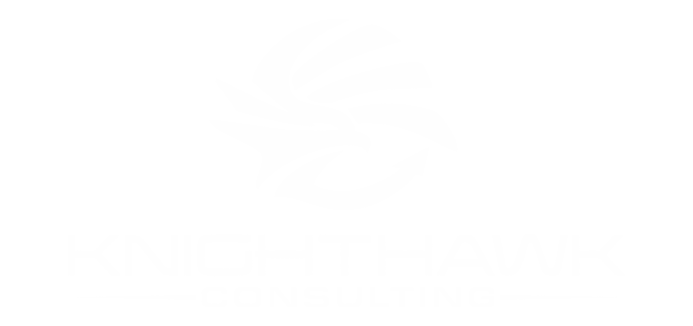 Black and white logo of a stylized hawk head above the text "KnightHawk Consulting" with a line underneath.