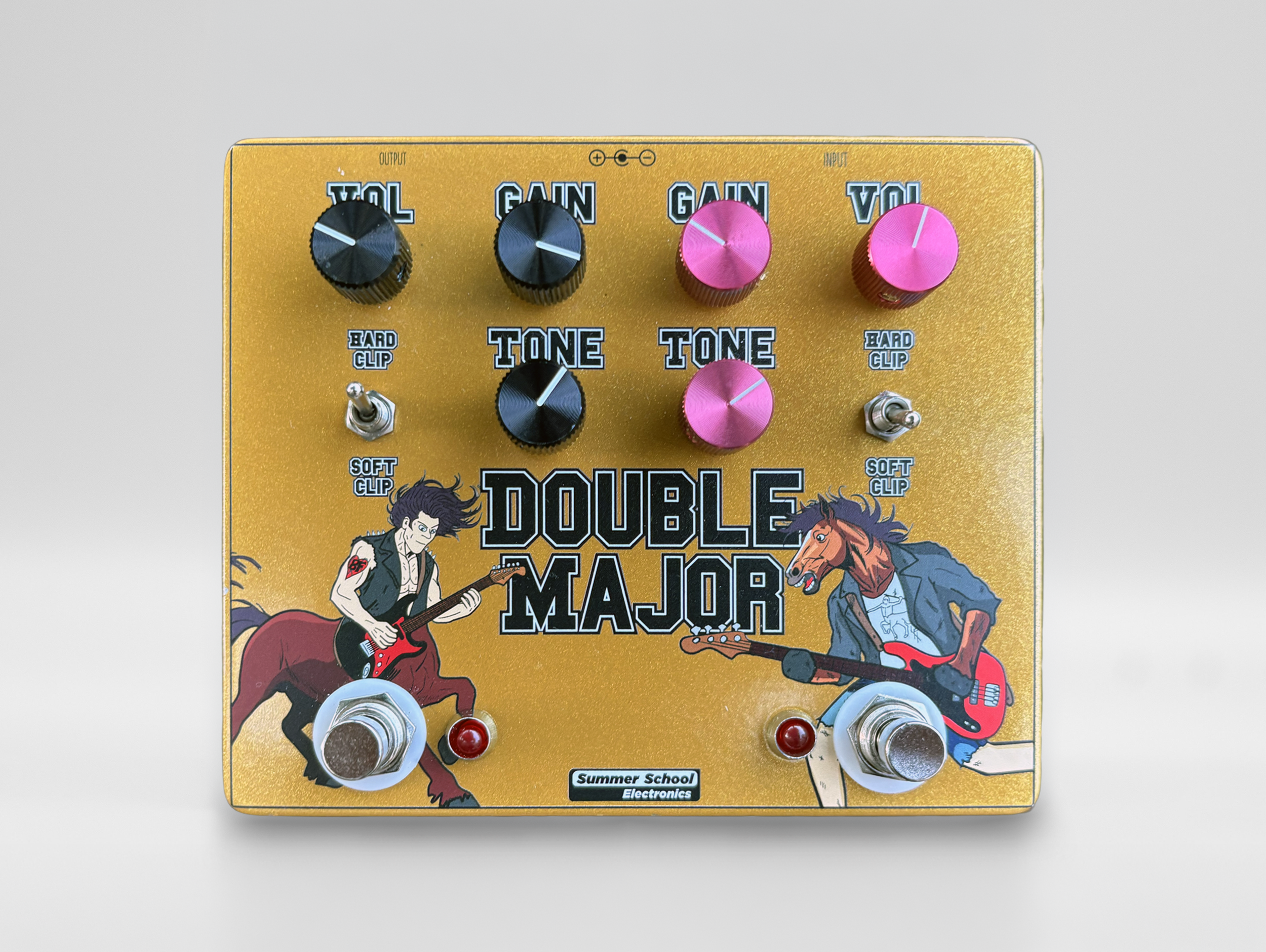 DoubleMajor-PedalPhoto.png
