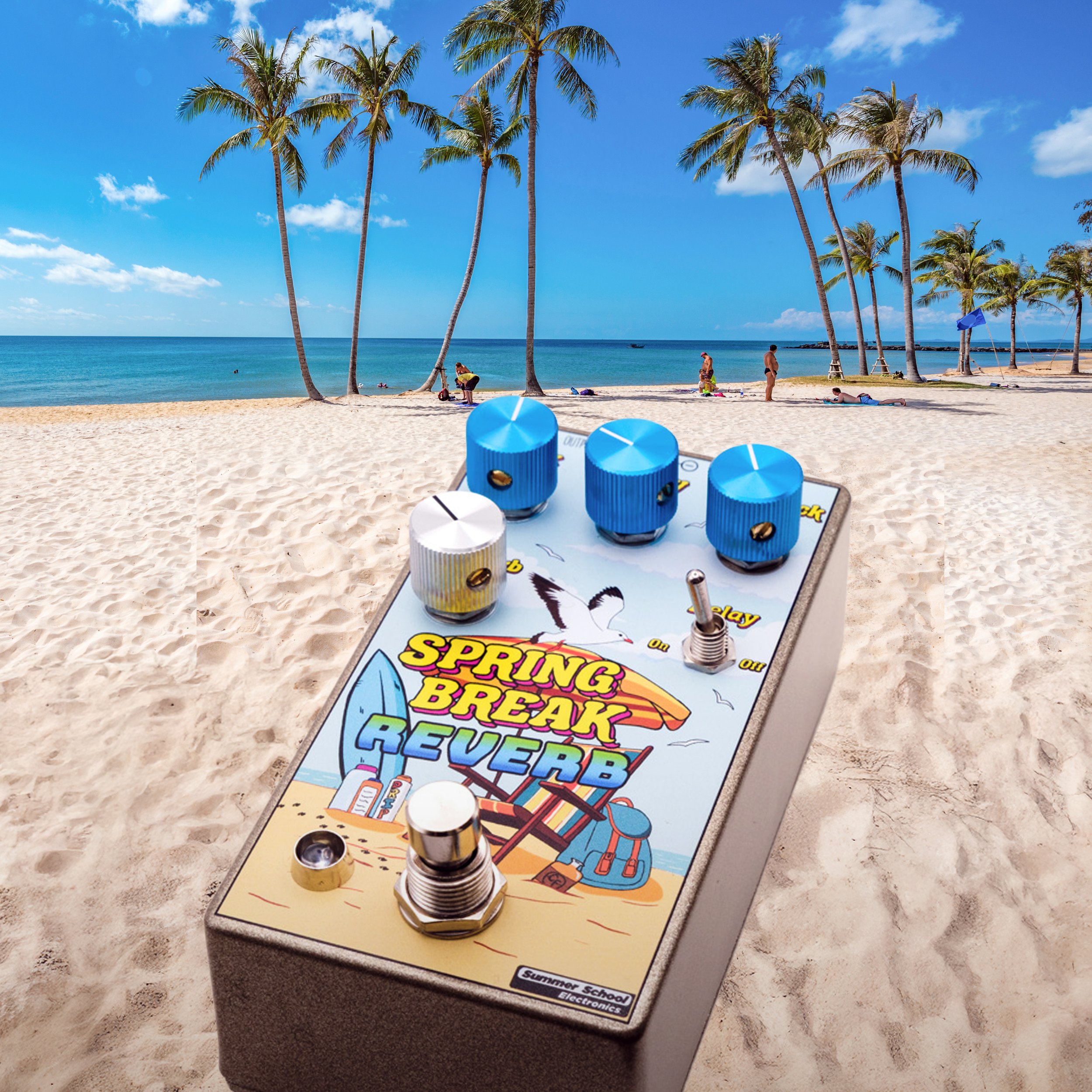SSE_SpringBreakReverb_ProductPic-BeachAngleX.jpg
