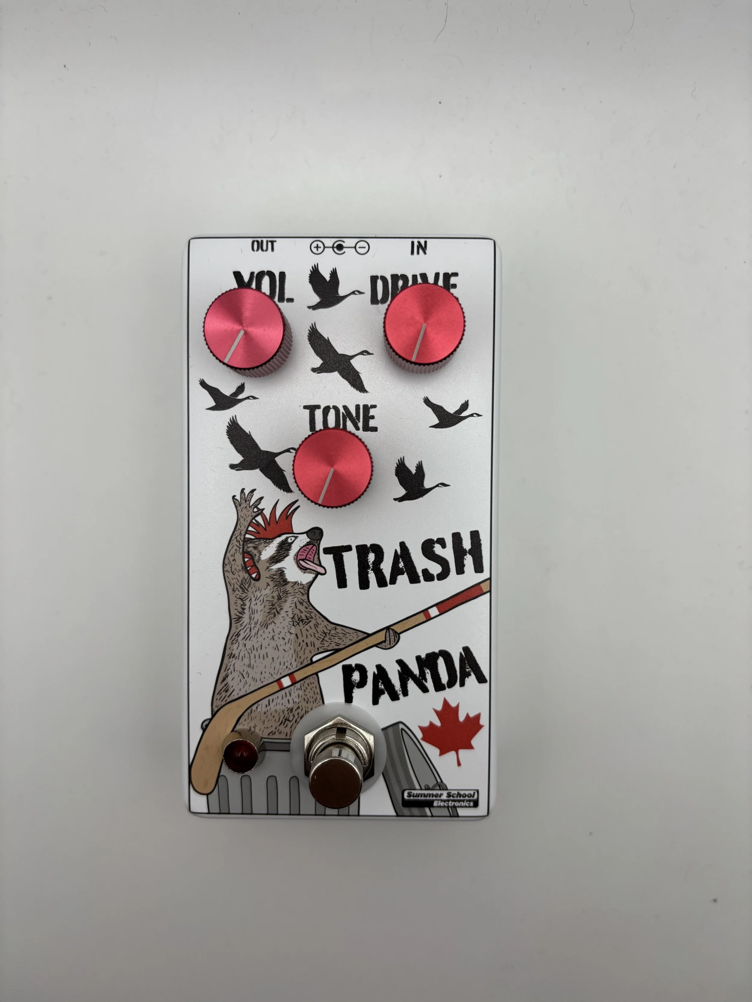 Limited Edition Canadian Trash Panda