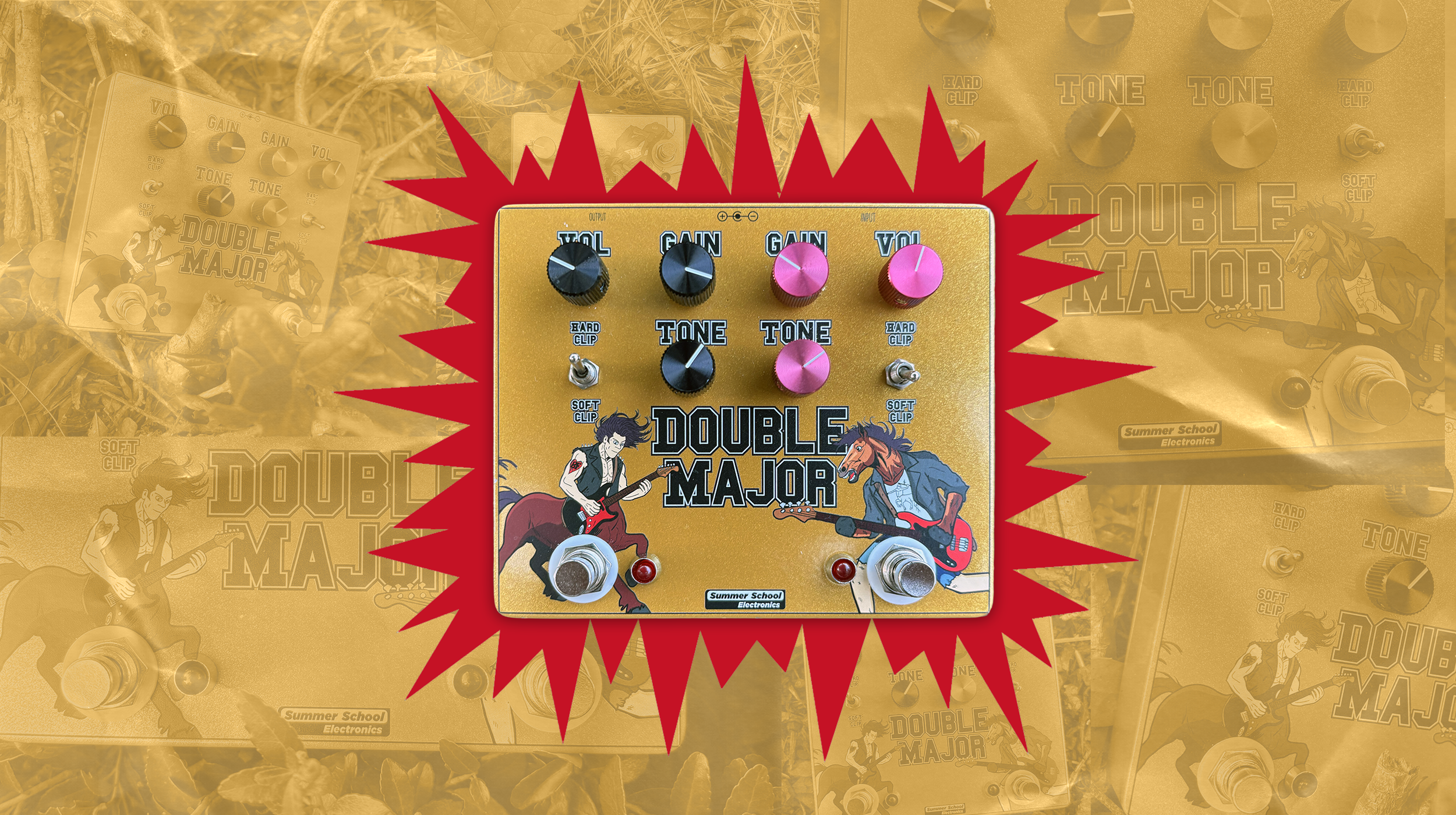 SSE-WebPix-DoubleMajor-2.png
