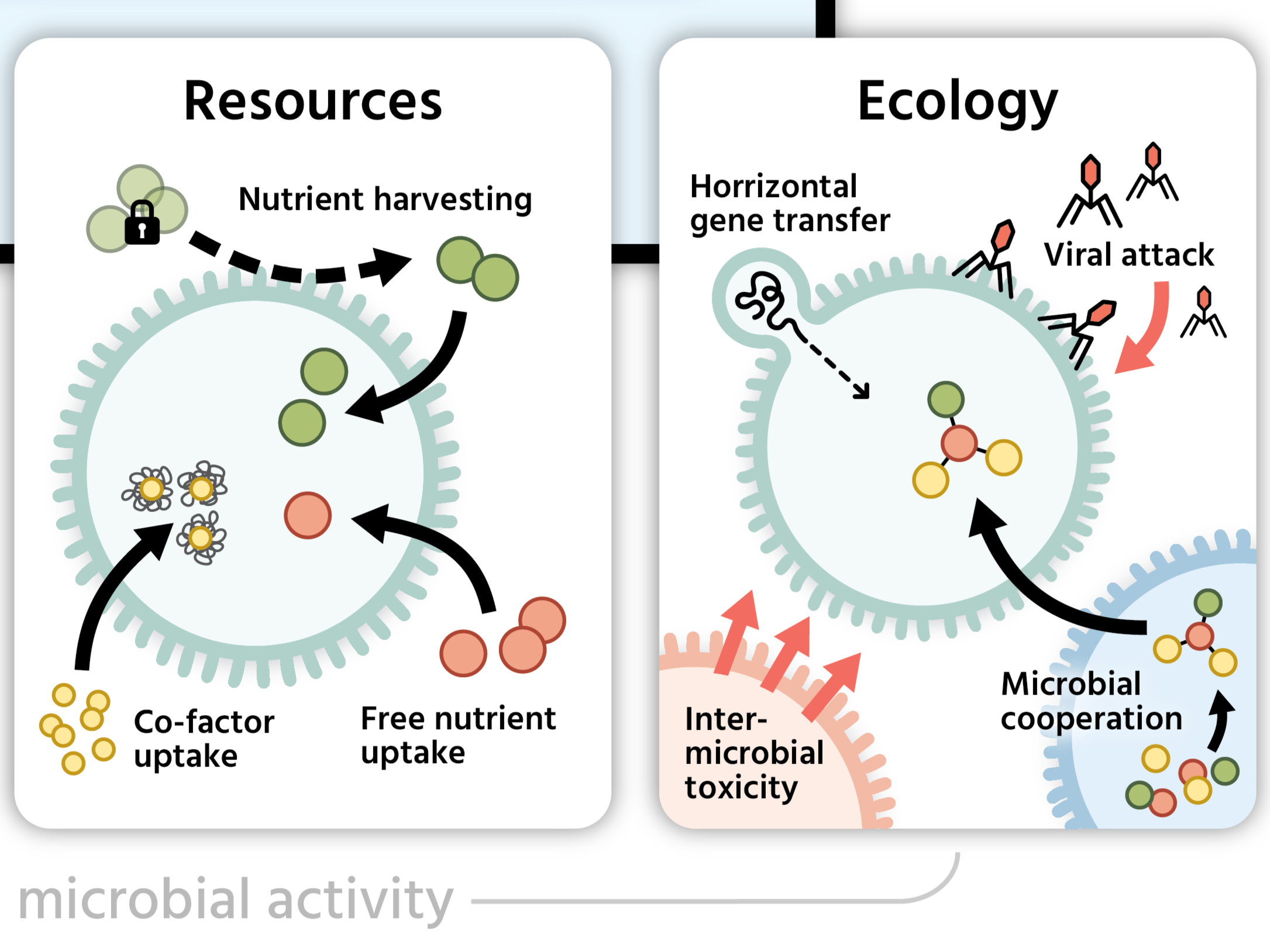 Poulin_contaminants_schematic.png