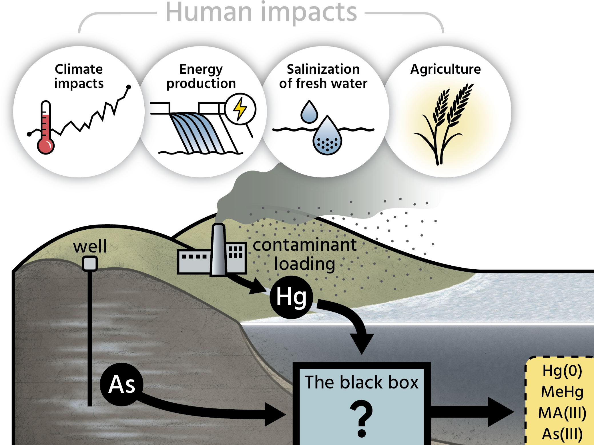 Poulin_contaminants_schematic - Copy (2).png