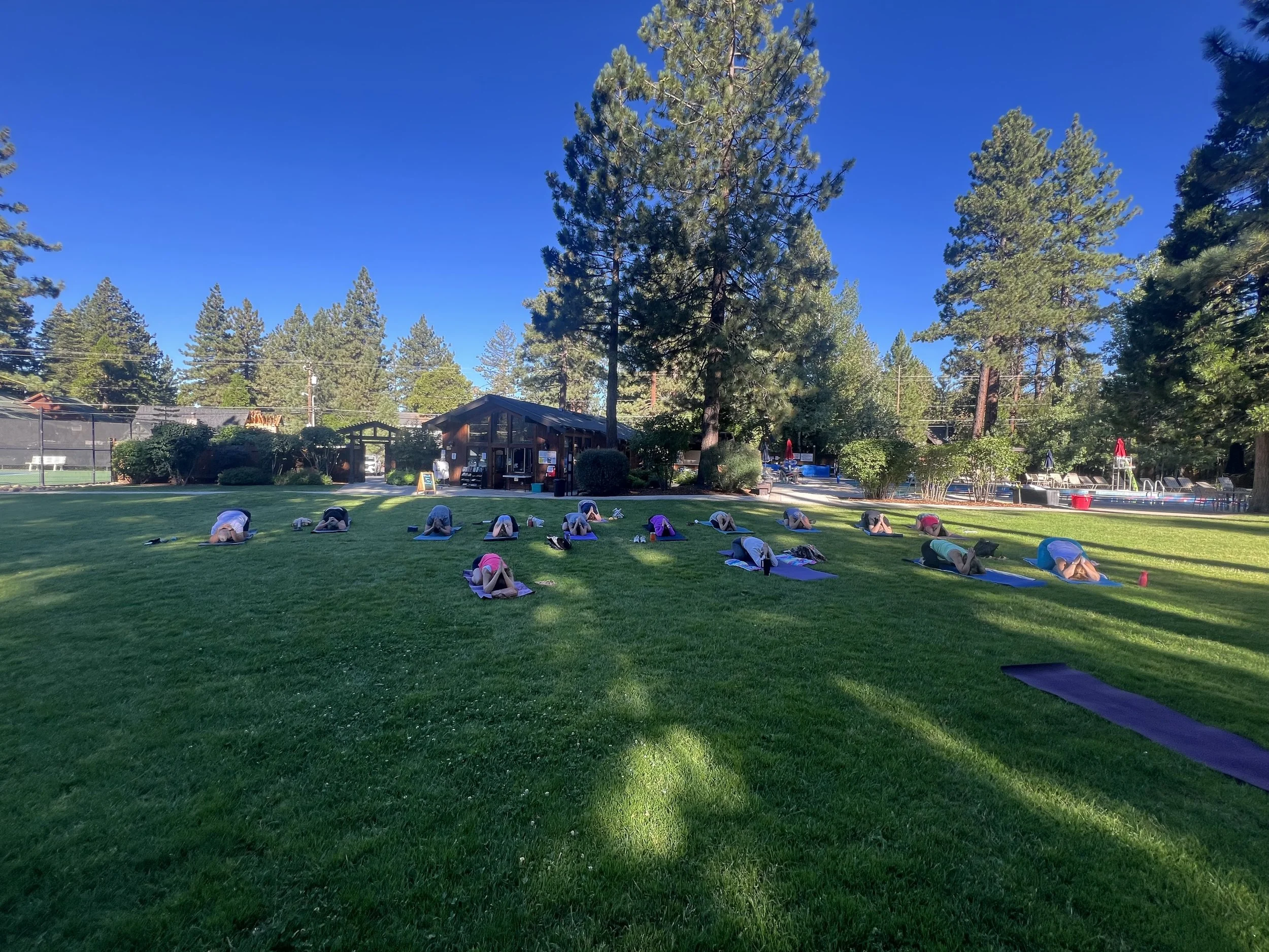 dollar point yoga.jpg