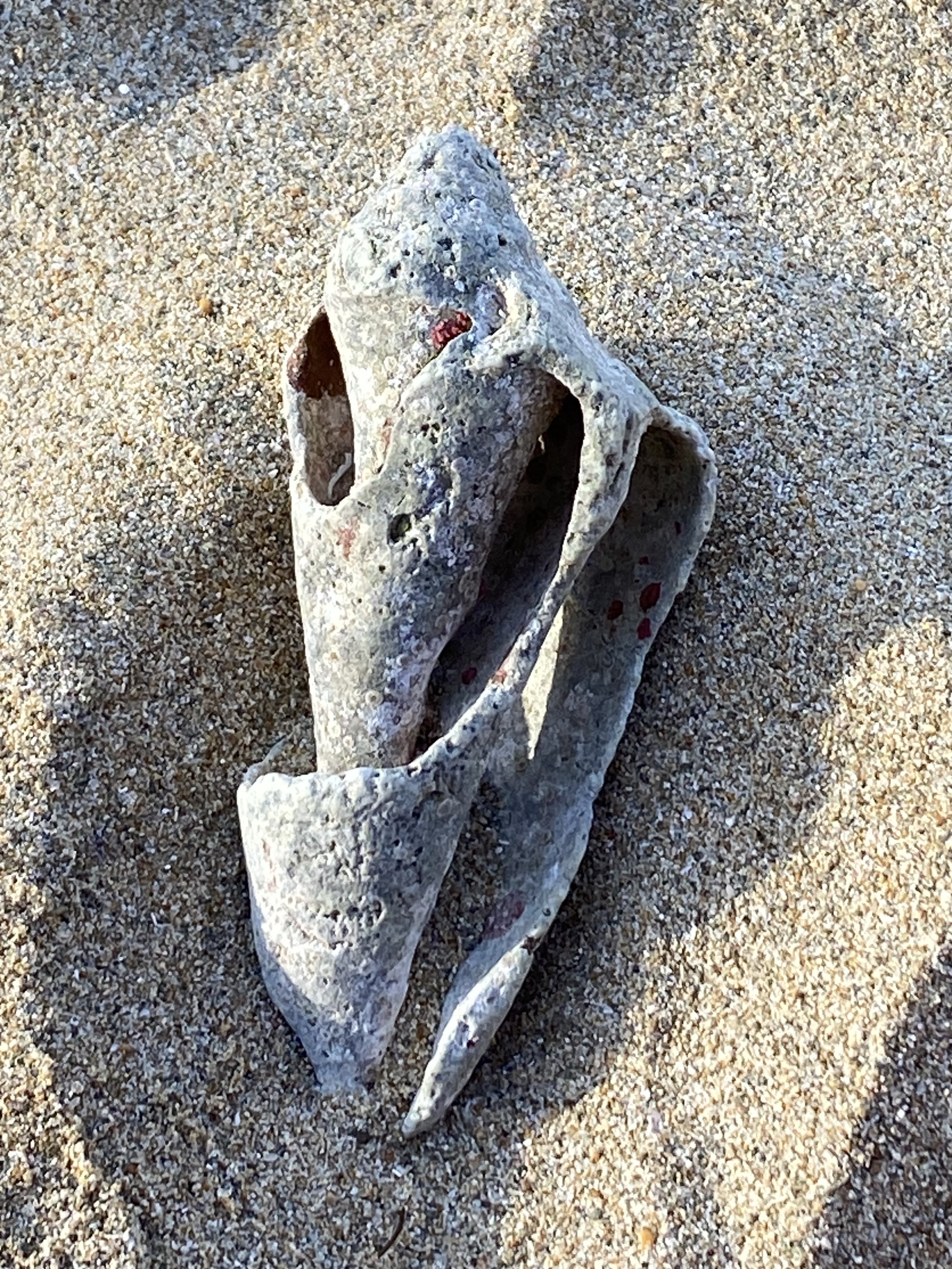 Perfectly Imperfect: A Lesson from the Shoreline