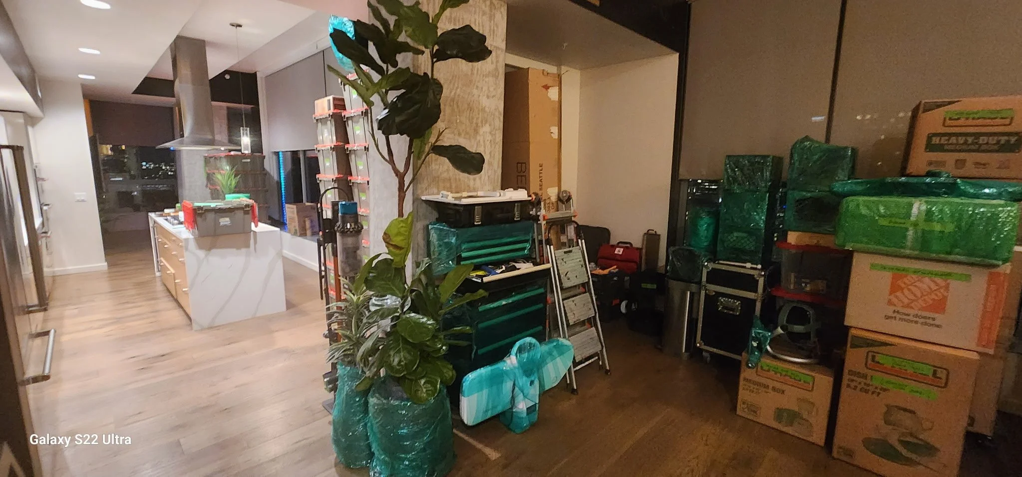 A cluttered room with packed boxes, a potted plant, and various stored items near a wall between an open kitchen and living space.