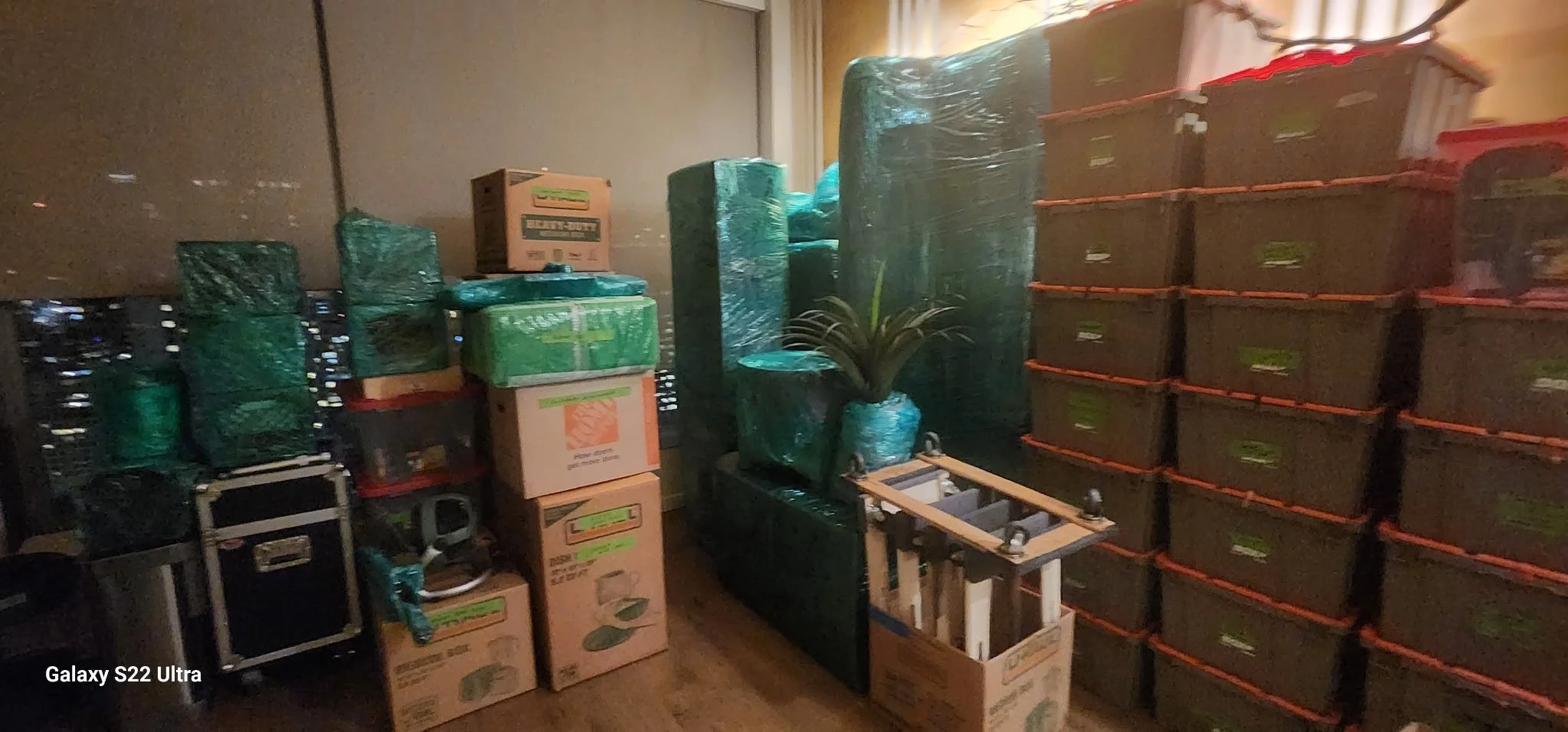 Storage room filled with packed moving boxes, some wrapped in plastic, stacked on top of each other, and a potted plant among the boxes.