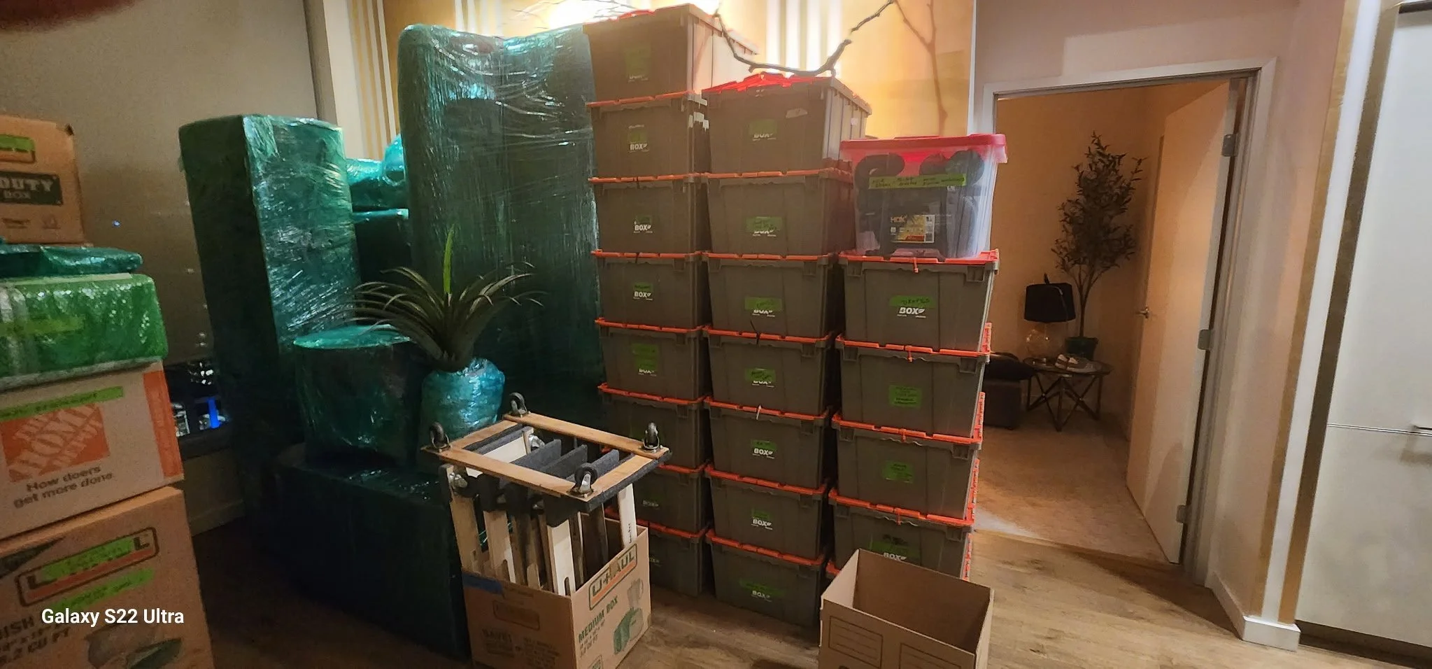 A room with stacked storage boxes, some wrapped in green plastic, a small potted plant, and a doorway leading to a room with a tall plant and a table with a black object on it.