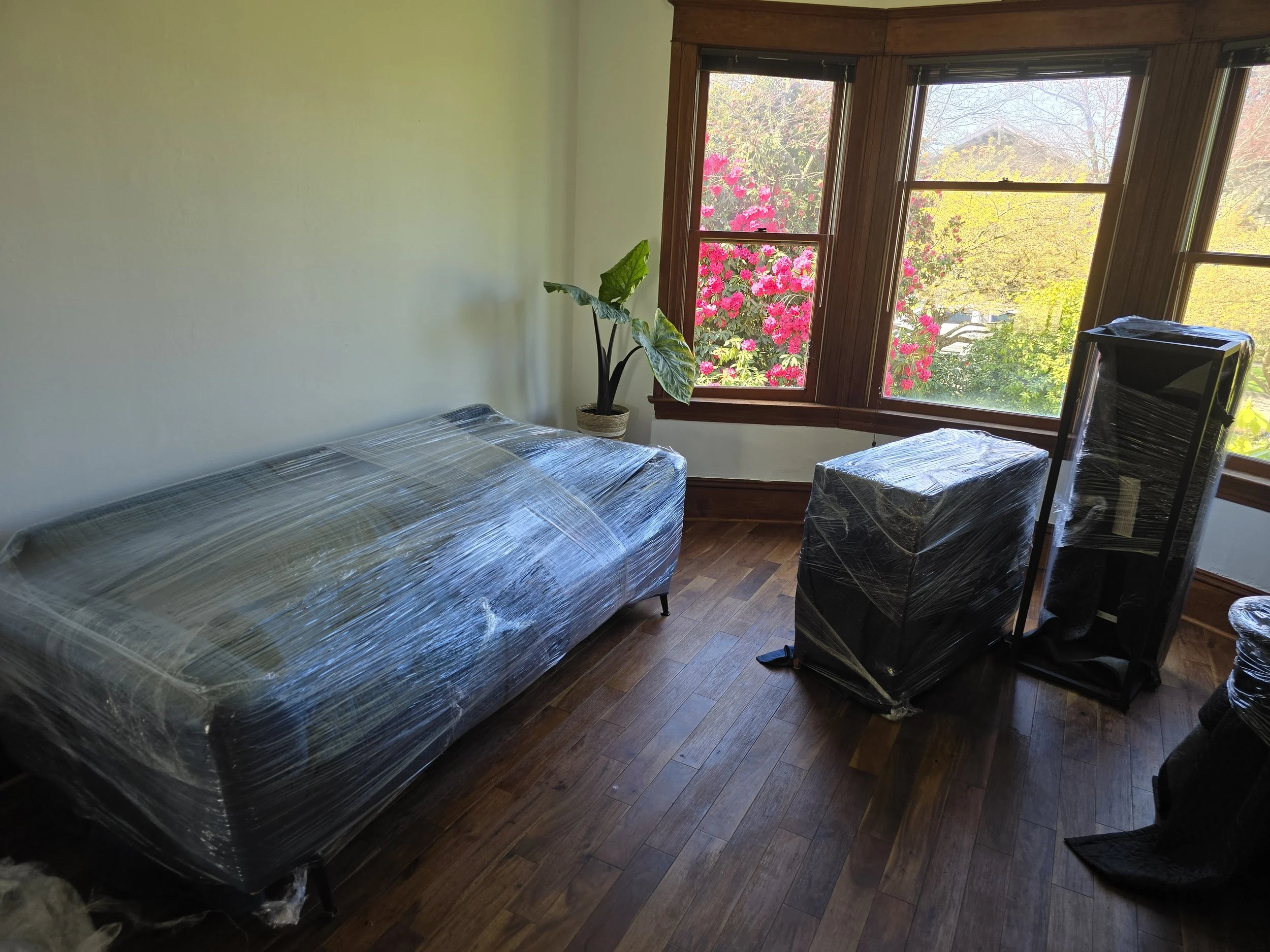 Room with a wrapped sofa and furniture near large window with outside view of trees and pink flowering bushes.