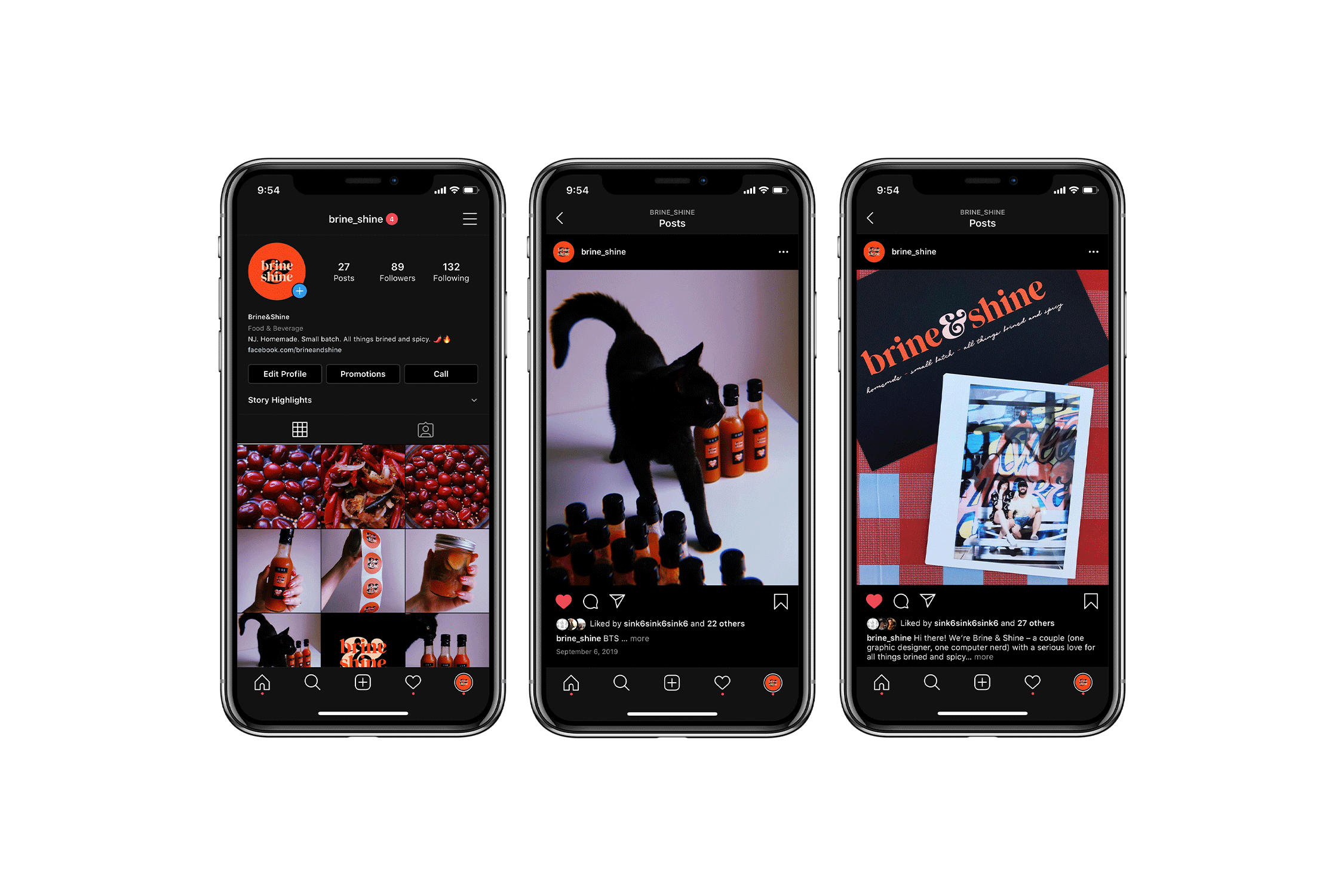 Project-BrineShine_09-Phone.gif