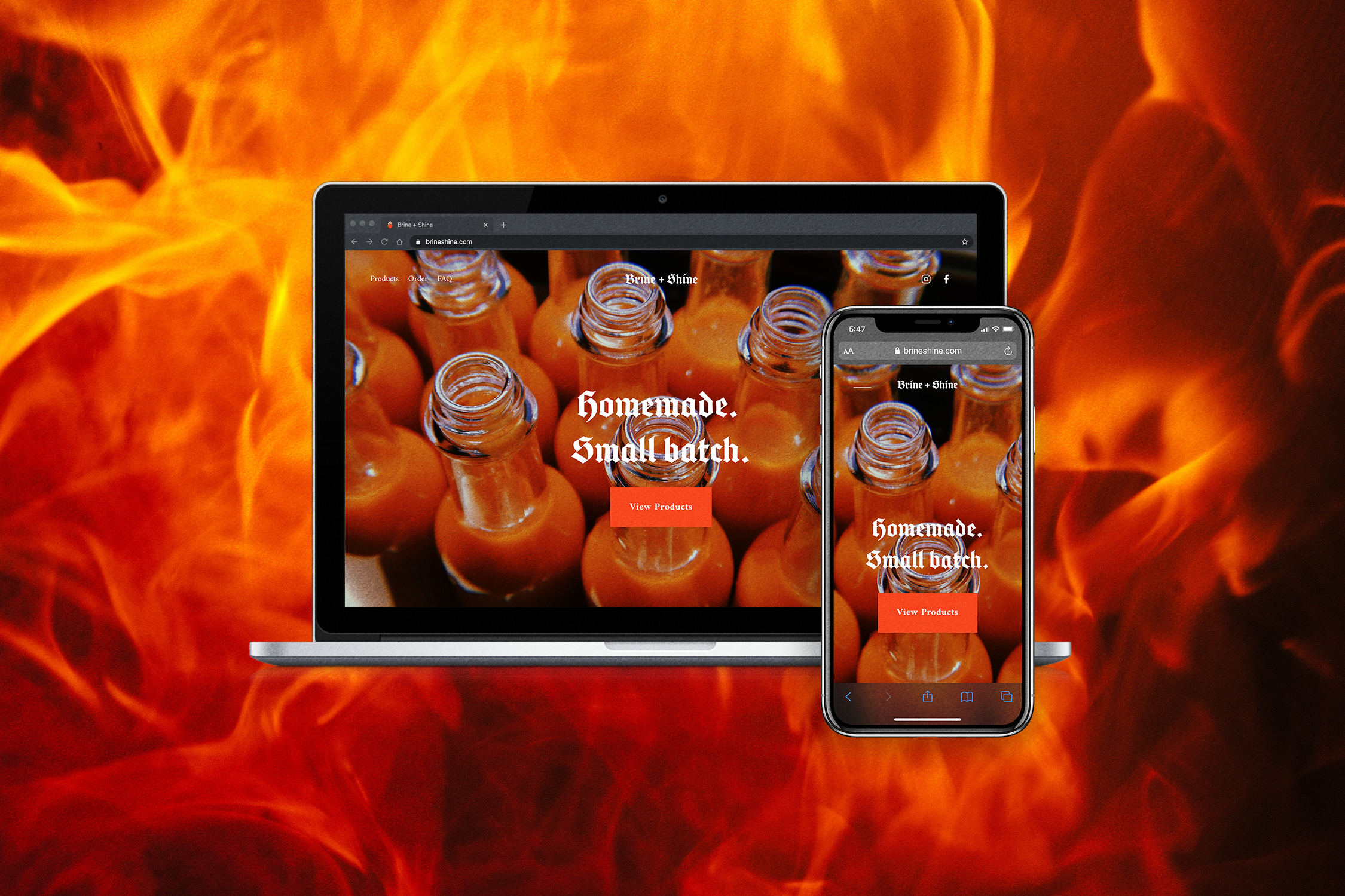 Project-BrineShine_05-Website.png