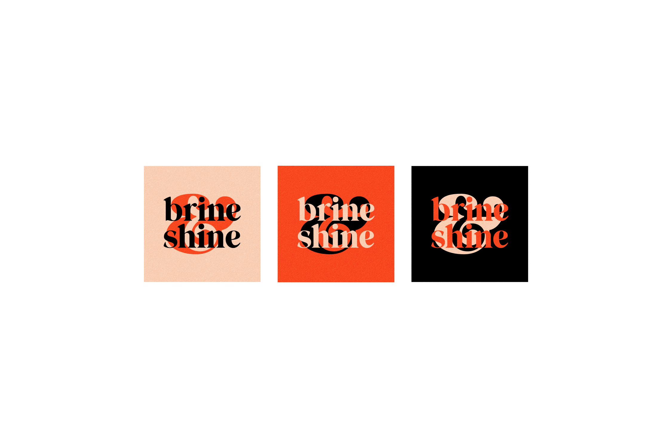 Project-BrineShine_09-Brand.png