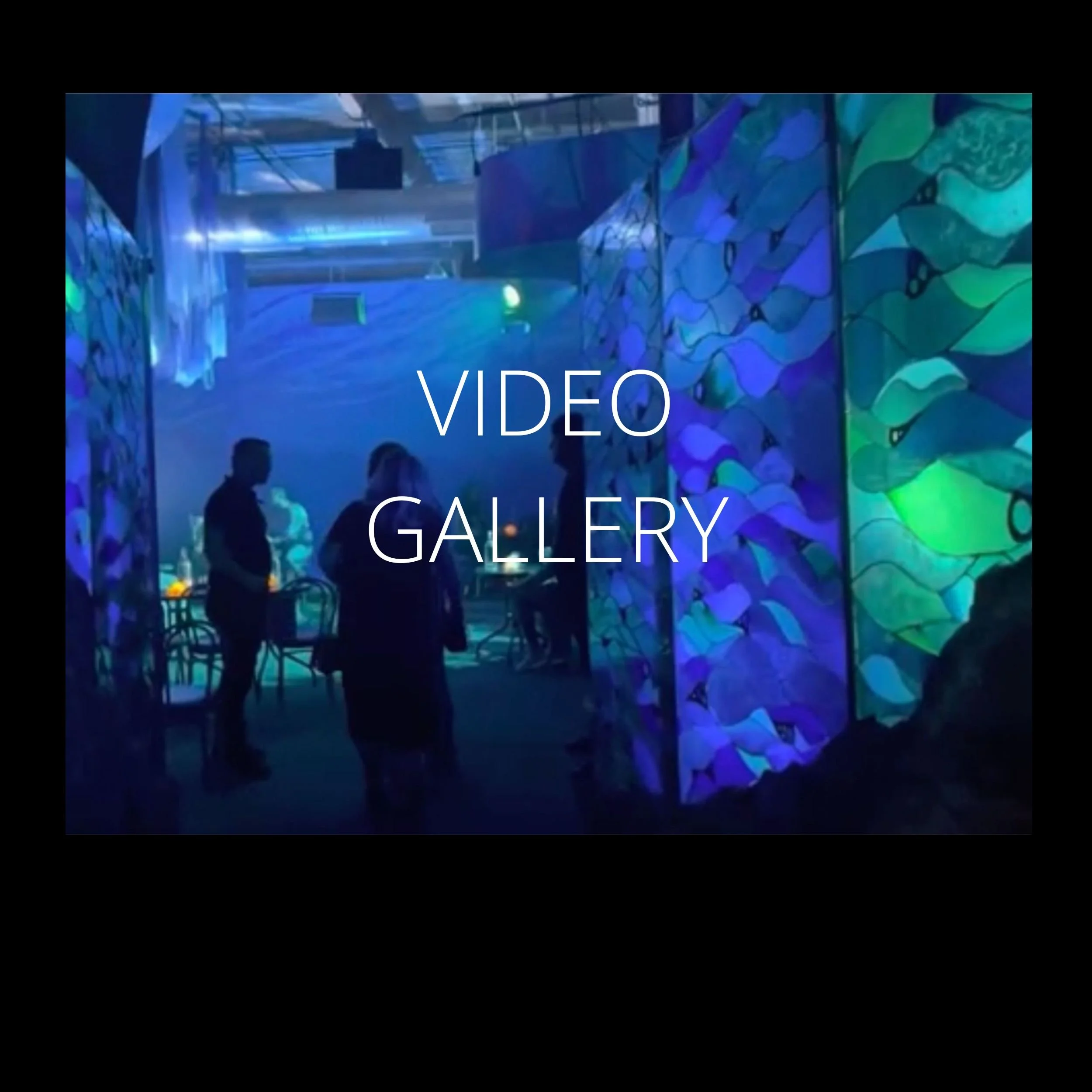 Video Gallery