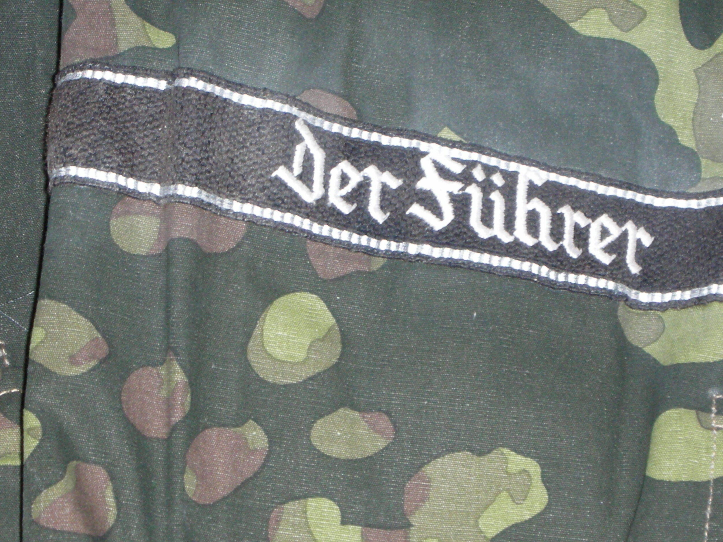 W. SS.Pz.Rgt 4 Derfuhrer Blotch-Camo (31).JPG