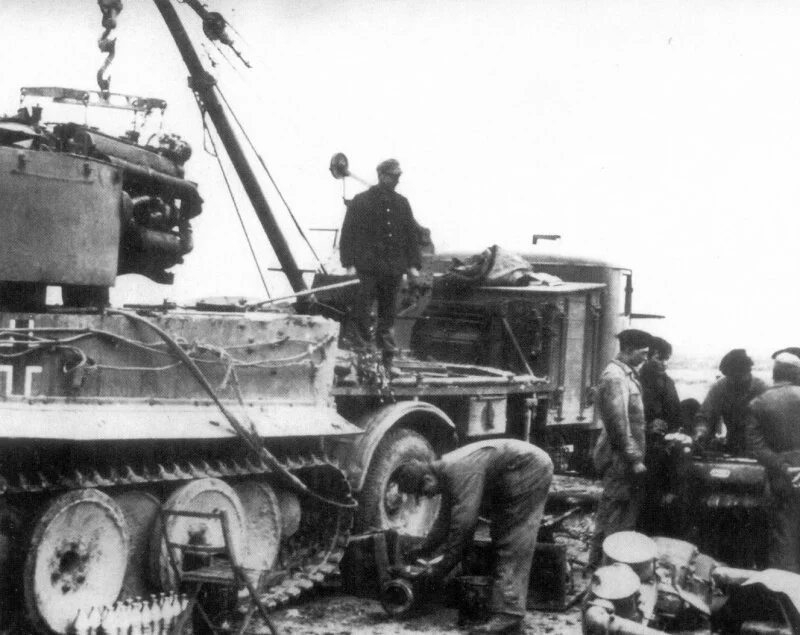 tiger_1411.jpeg