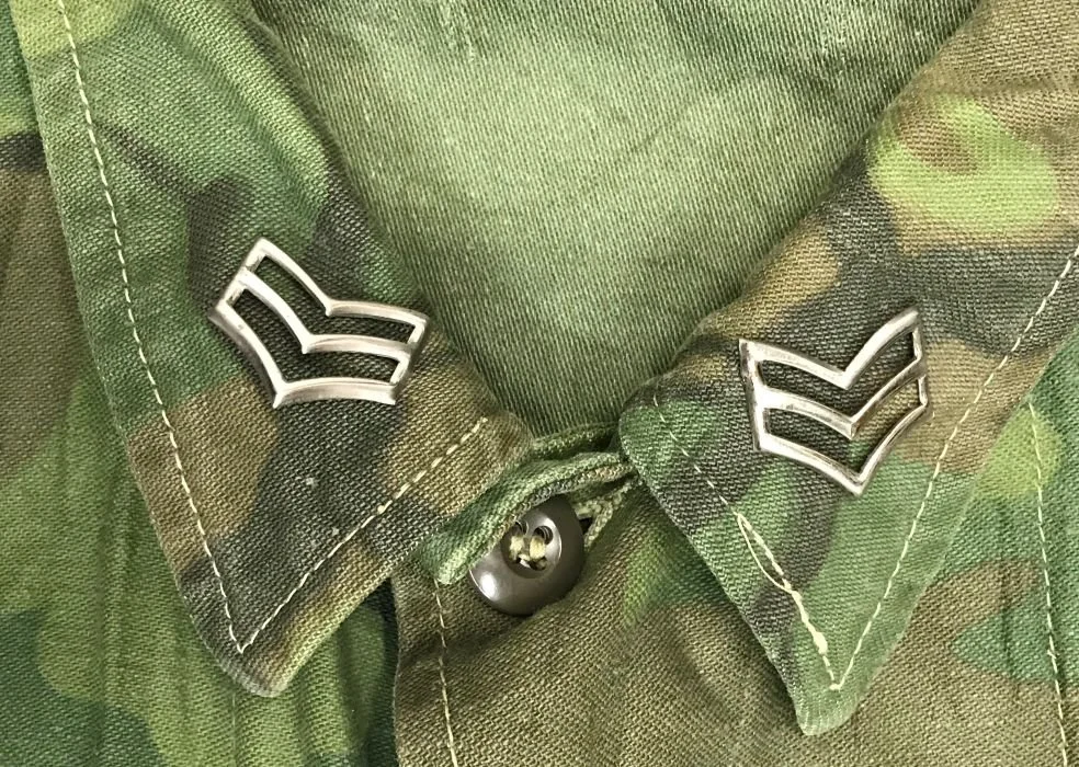 ARVN, Special Units — The Military Mark