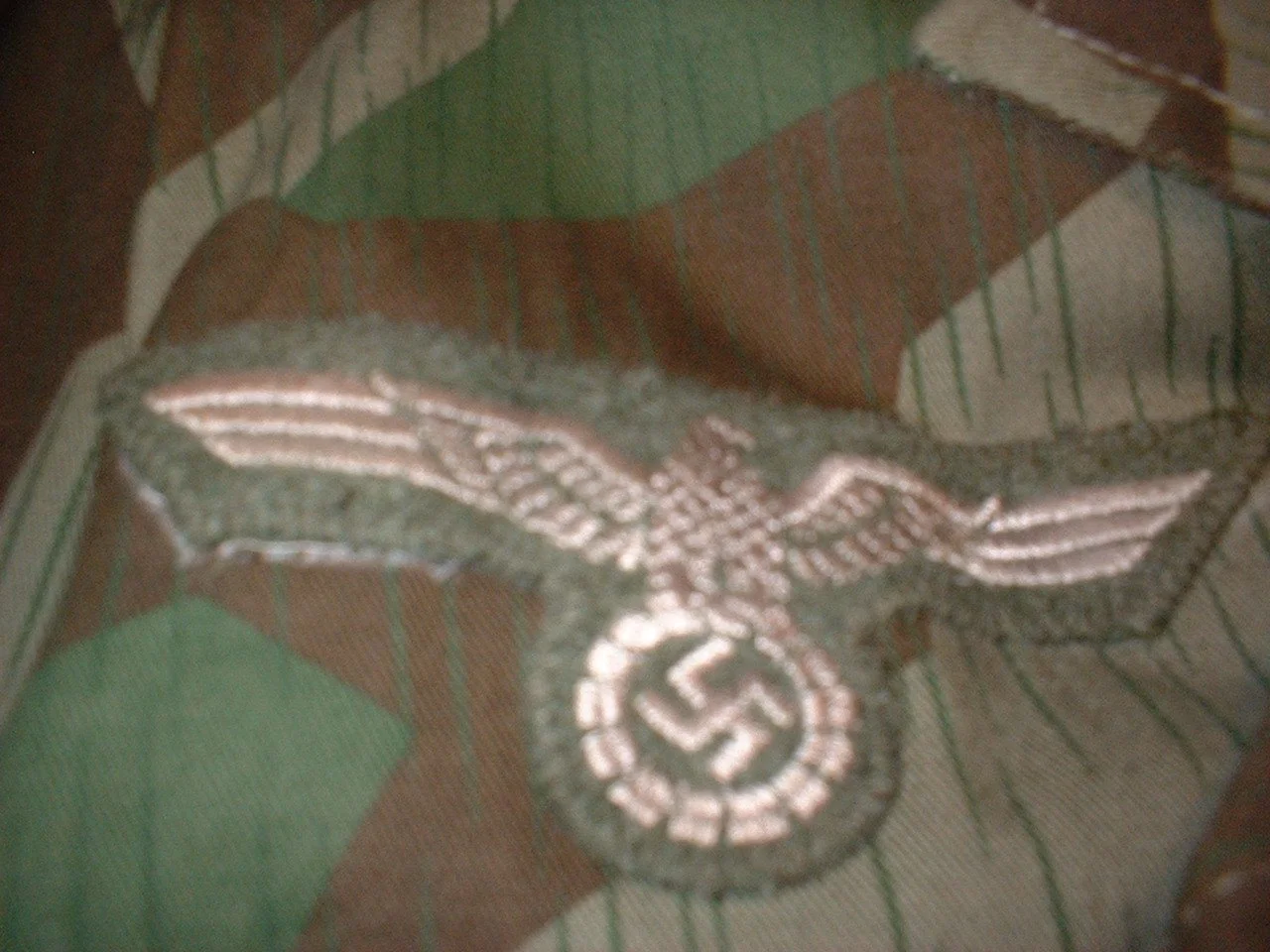 1.Pz.Afk.Btl.GD Div. Recon  (110).JPG