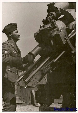 8.8cm+Flak+with+Kroatian+Luftwaffe+soldier.jpg