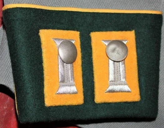 Ober.Lt.Kav.Rgt.17  Waffenrock (16).JPG