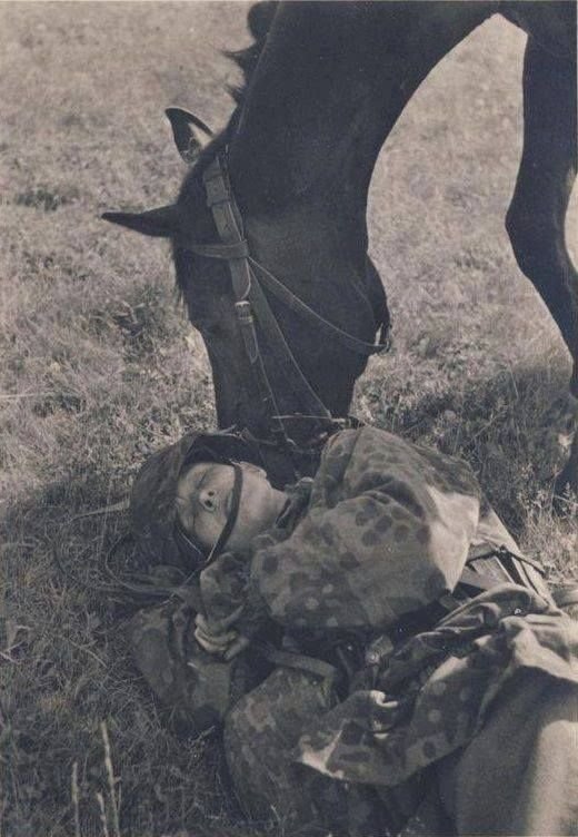 SS Cavalry Division 'Florian Geyer' and a horse.jpg
