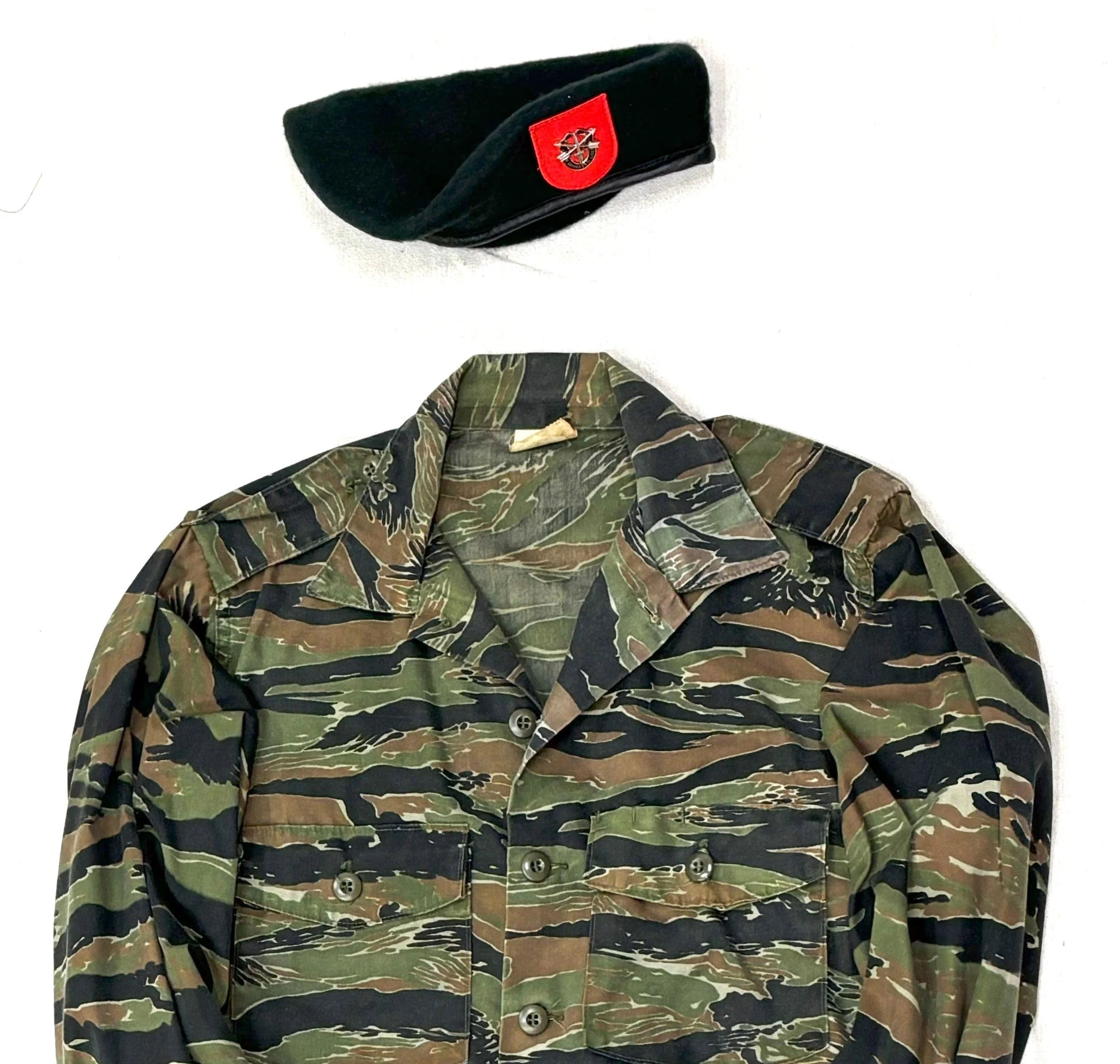 U.S. Army Special Forces / rvn: