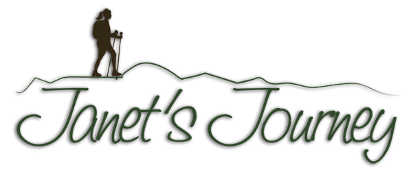 janetsjourney.com