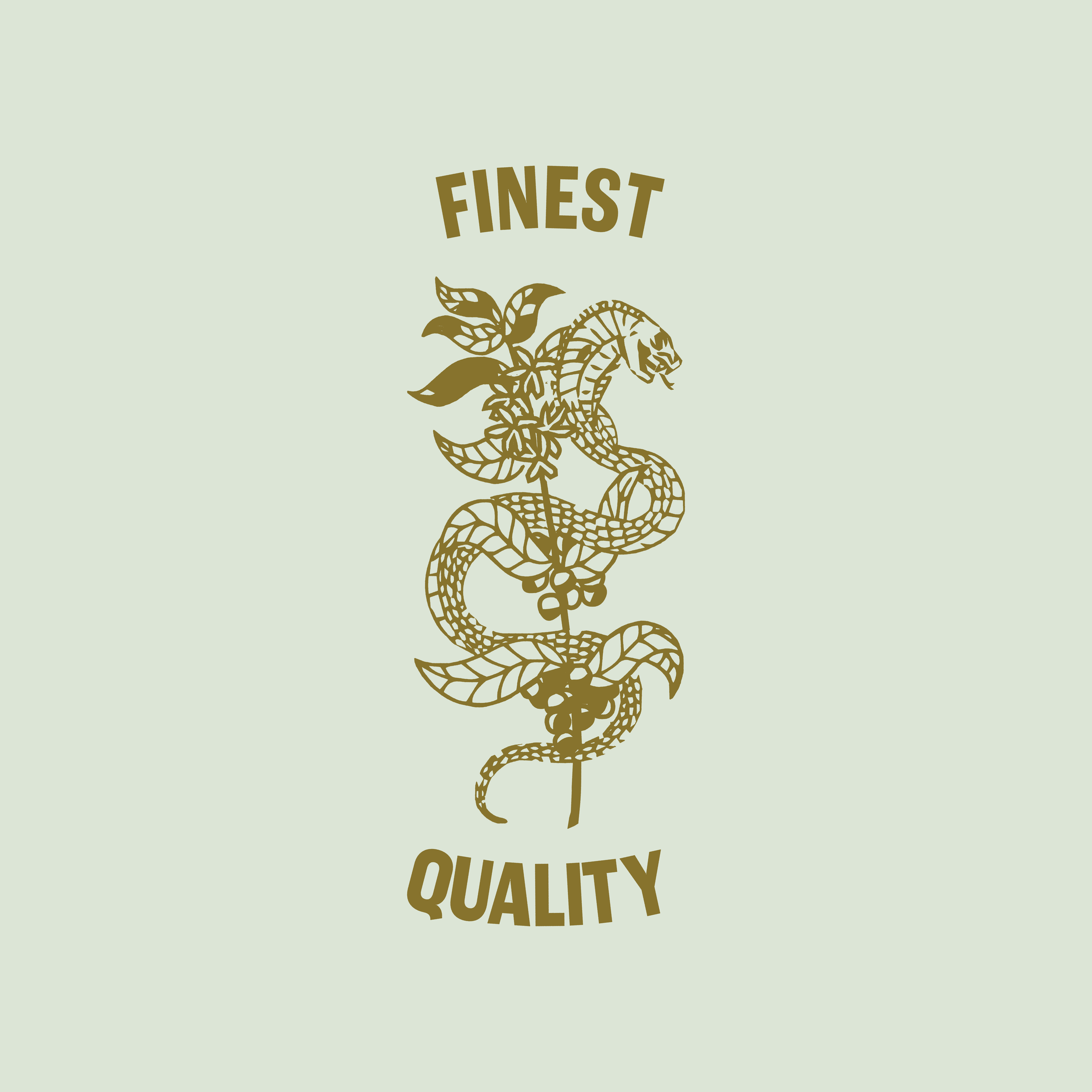 Logo_Page-11.png
