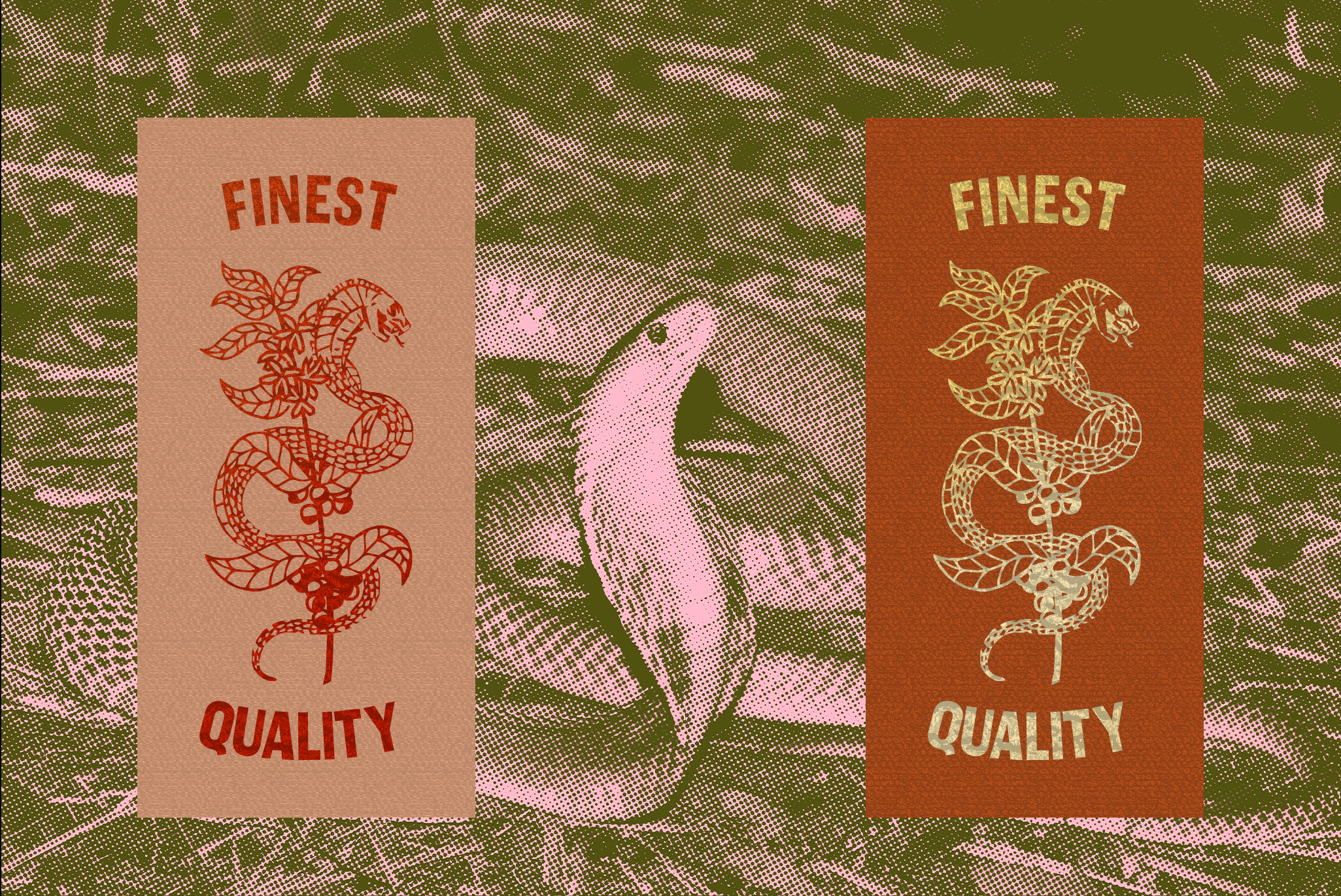 Cobra Coffee Company Logo Design and Illustration