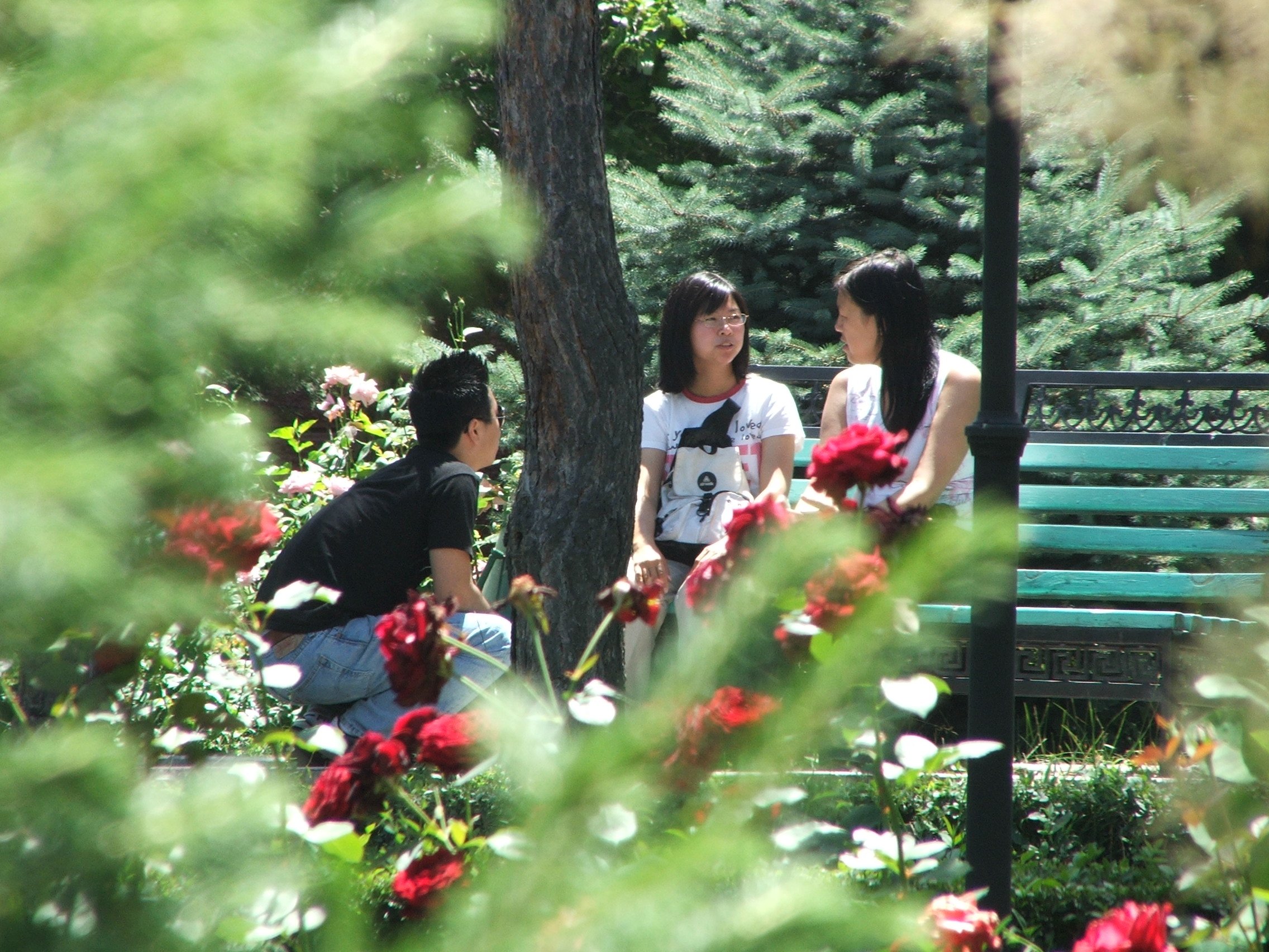 DSCF4666.jpg