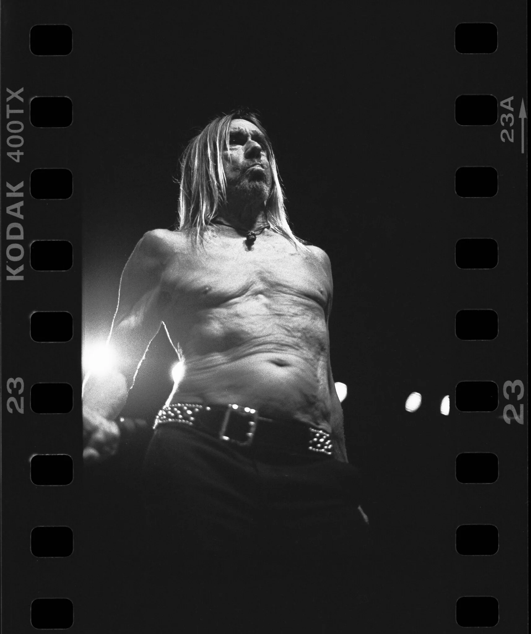 IggyPop.31Edit.JPG