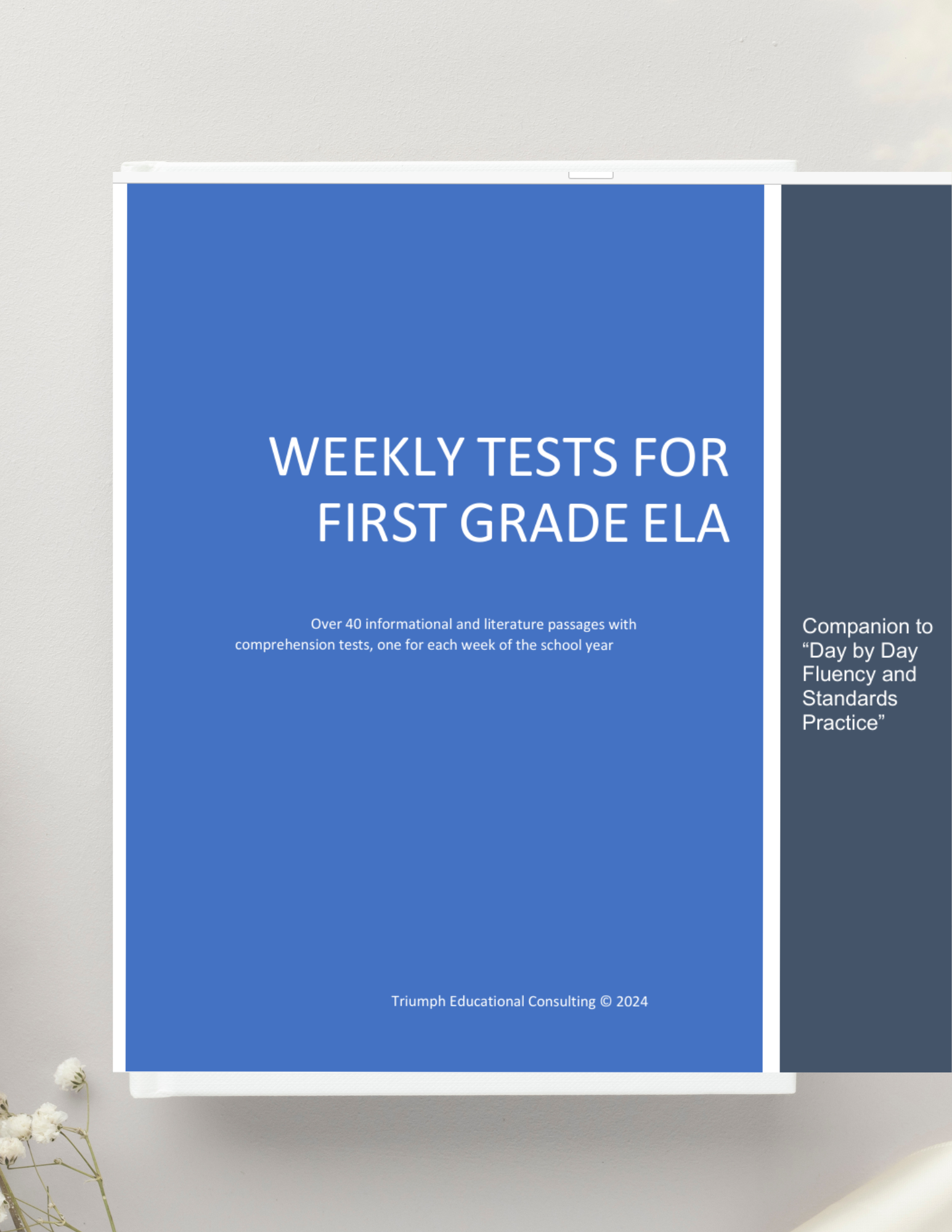 Minimalist Aesthetic Elegant Simple White World Book Day Instagram Post (Document).png