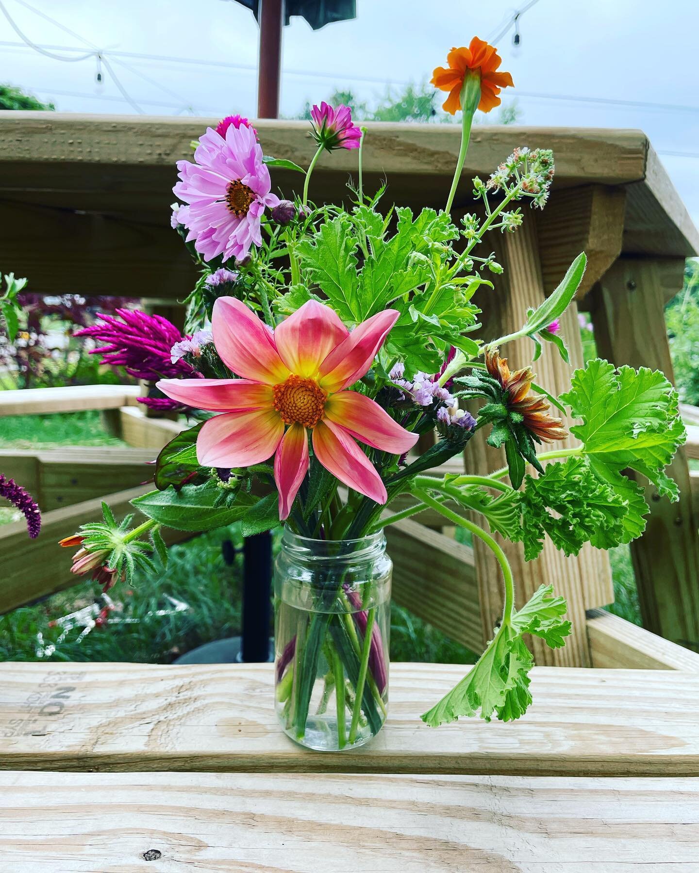 This dahlia was grown from seed, which means I was 100% surprised by its beauty when it bloomed. It&rsquo;s one of the best kinds of surprises.

These flowers are available for purchase! I have two extra arrangements today. $10 each. Pick up in the P