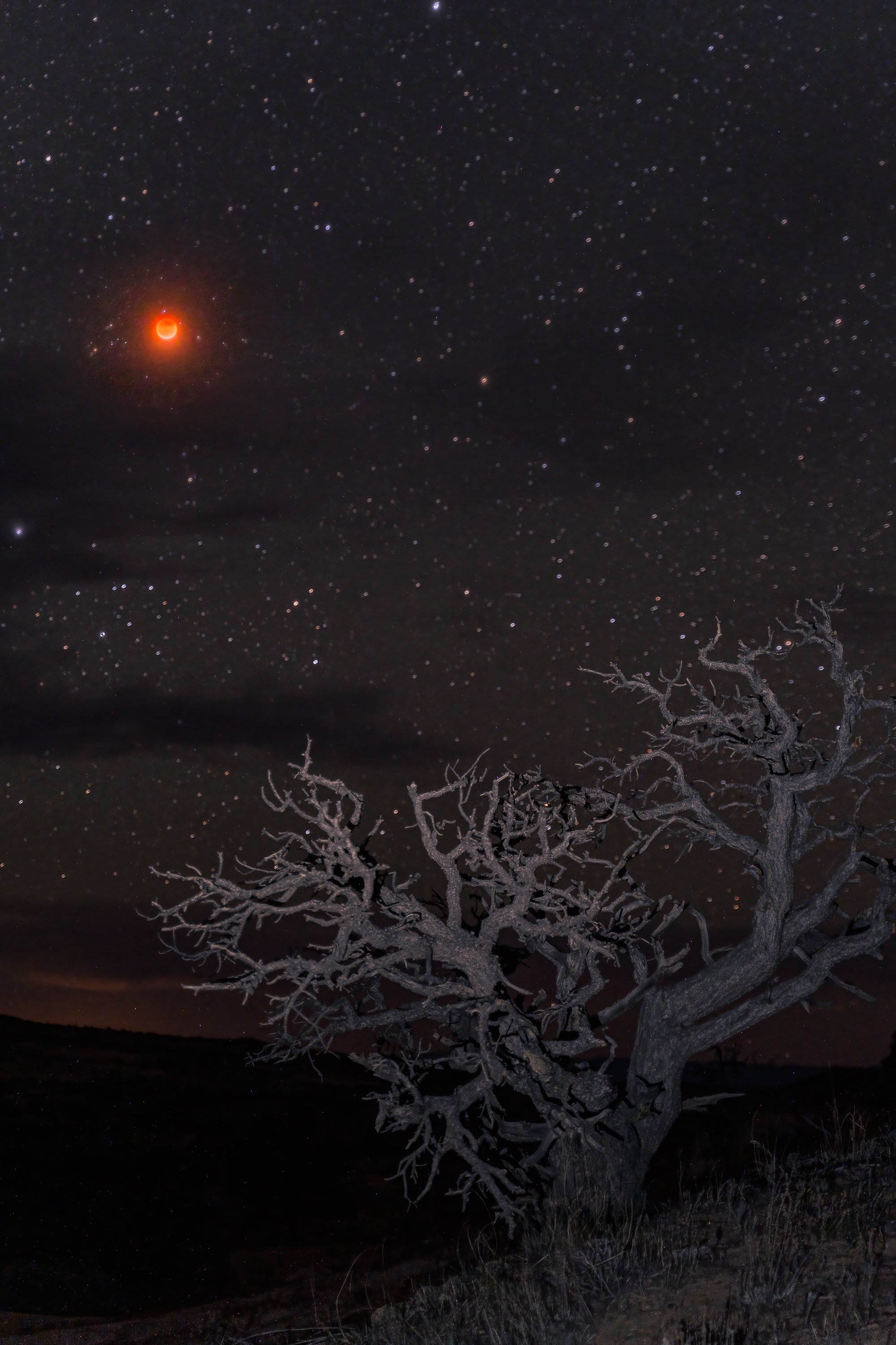 Blood_Moon.jpg