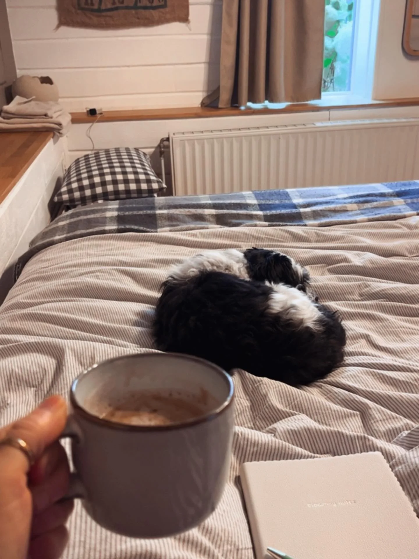 Creating a life for myself that I&rsquo;m excited to wake up to. 

As I walk into the next chapter of my life, I&rsquo;m leaning into the things that bring me joy. The things that evoke a full body yes! 

Breaking free of the constructs of what we sh