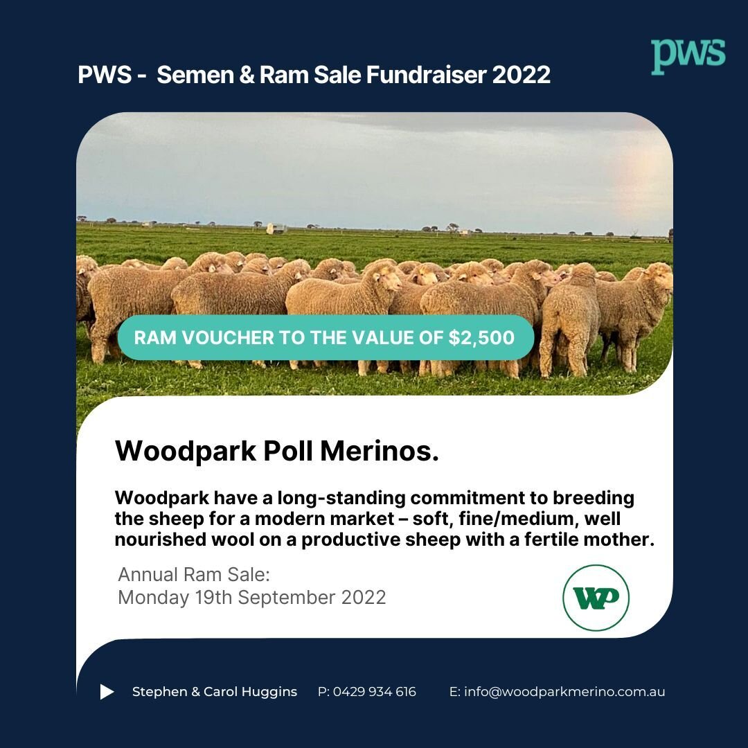 Woodpark Poll Merino Stud&rsquo;s breeding program uses a mic of visual appraisal and objective measurement in making selection decisions. They have a long-standing commitment to breeding the sheep for a modern market &ndash; soft, fine/medium, well 