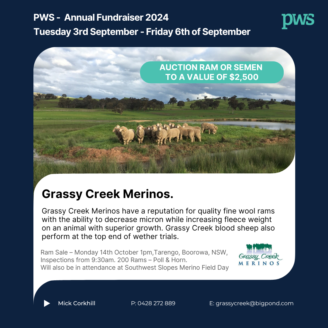 Grassy Creek Merinos.png