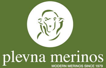 plevna.png