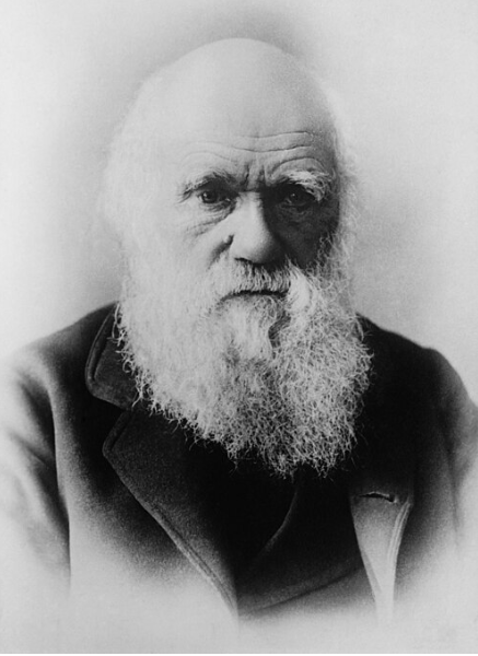 🌳 Ep. 224: Charles Darwin – Top 5 Facts Memory Mnemonic