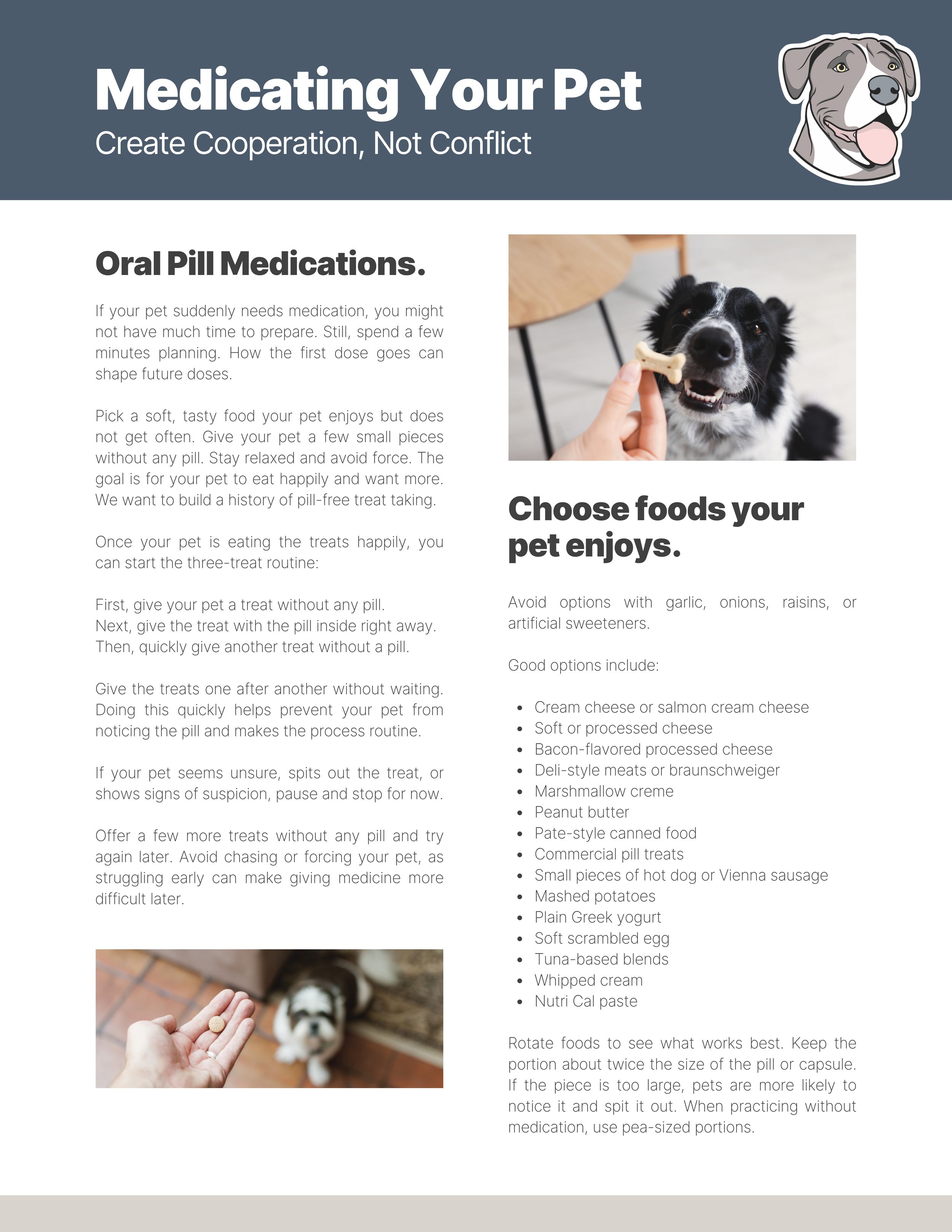 Medicating Your Pet: Create Cooperation, Not Conflict