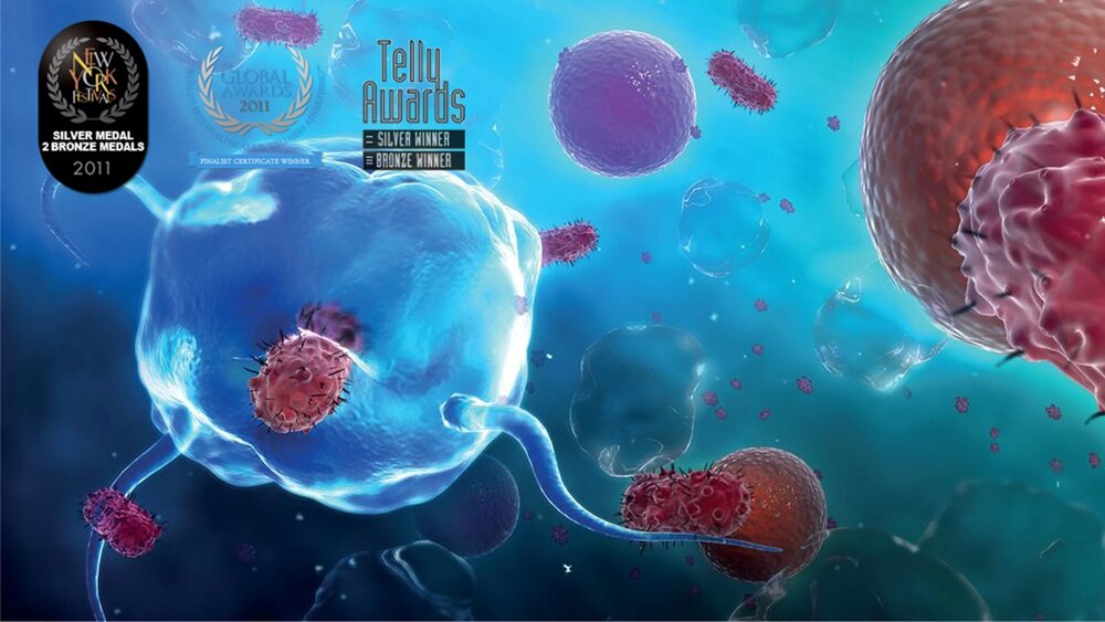 Our Immune System — Cortical Studios Our Immune System — Cortical Studios