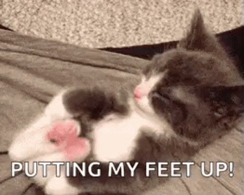 GIF of cat putting feet up