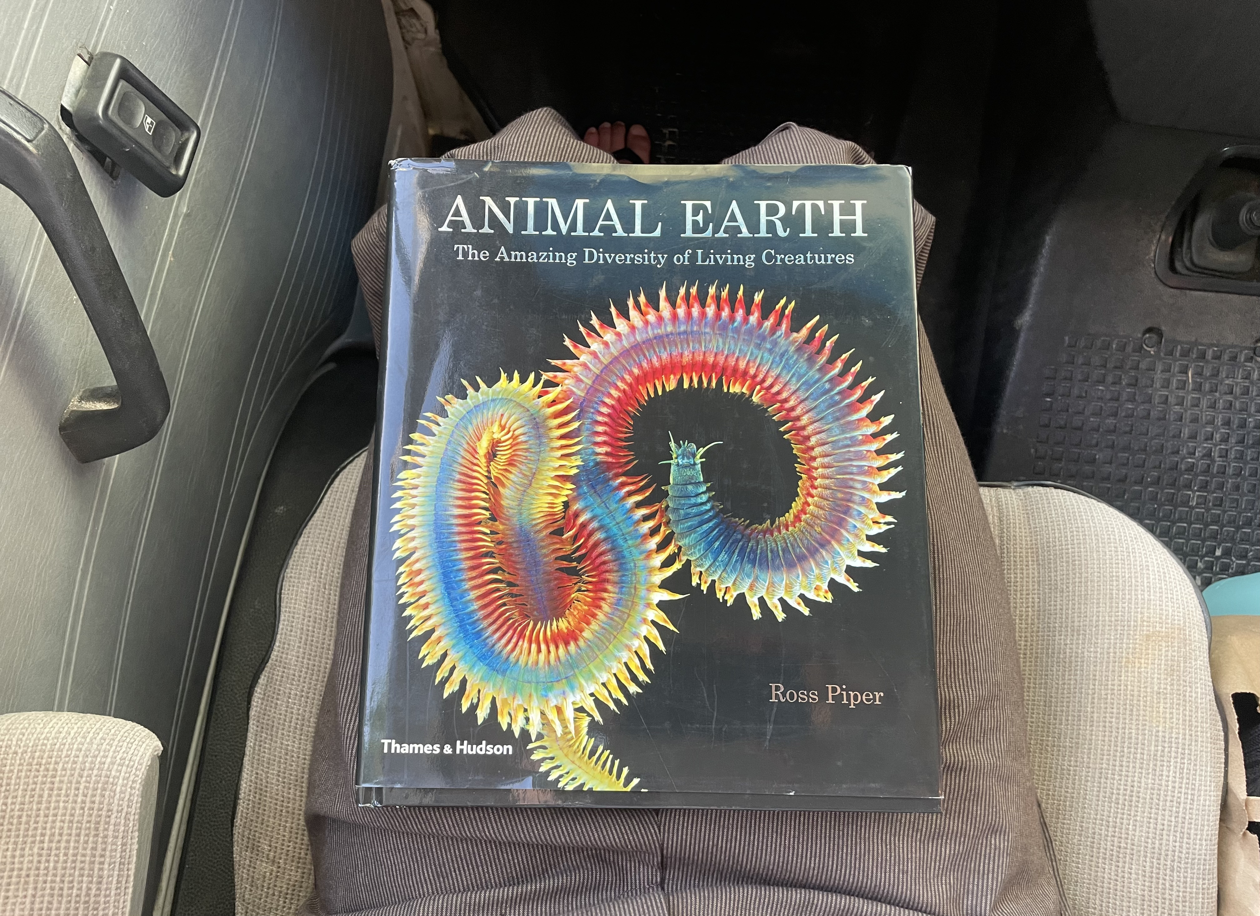 OP SHOP FINDS