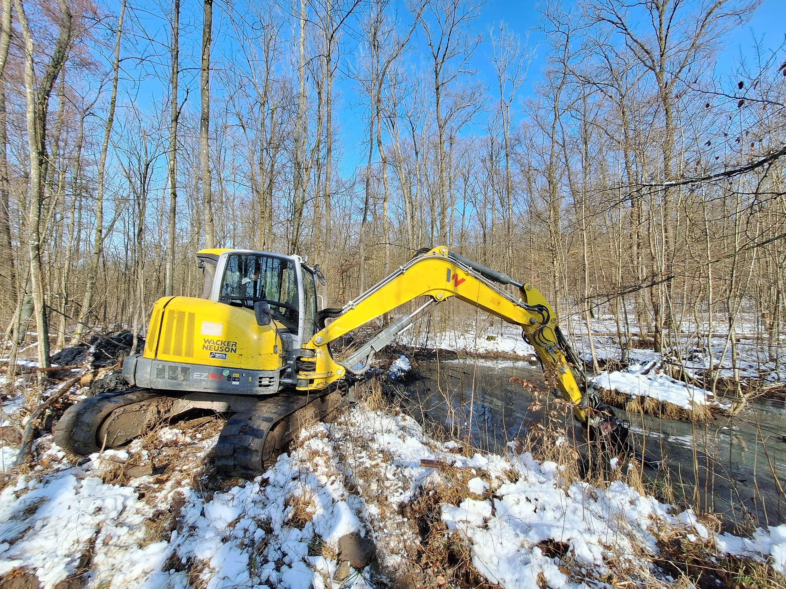 Bad Vilbel stärkt Wasserrückhalt im Stadtwald