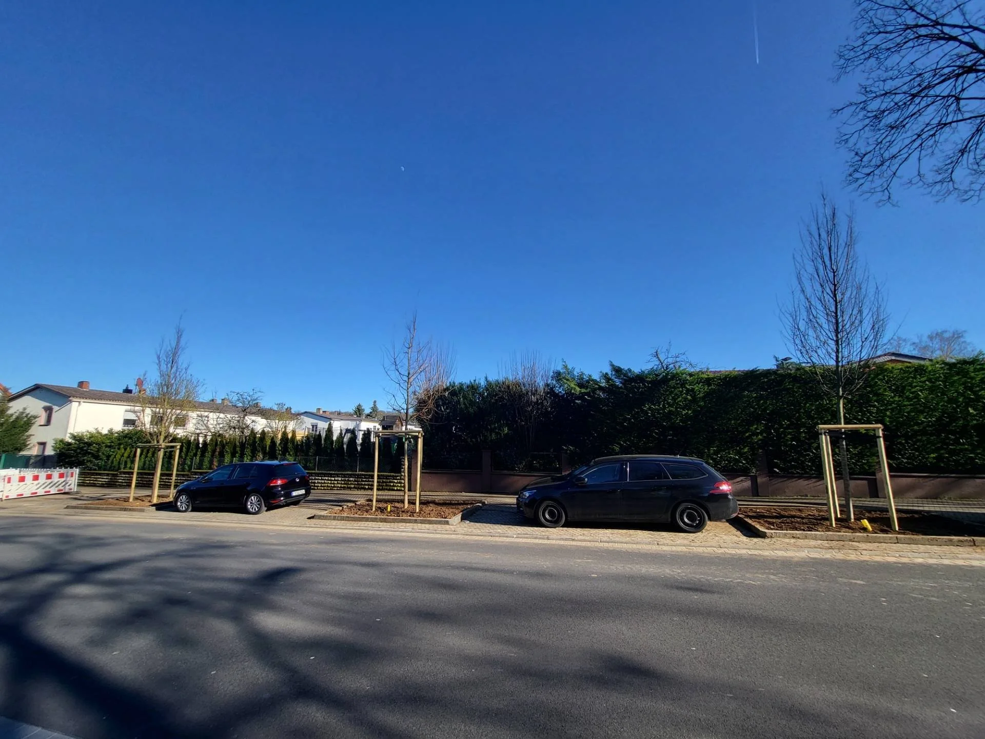 Neue Gehölze für Bad Vilbel im Jahr 2026