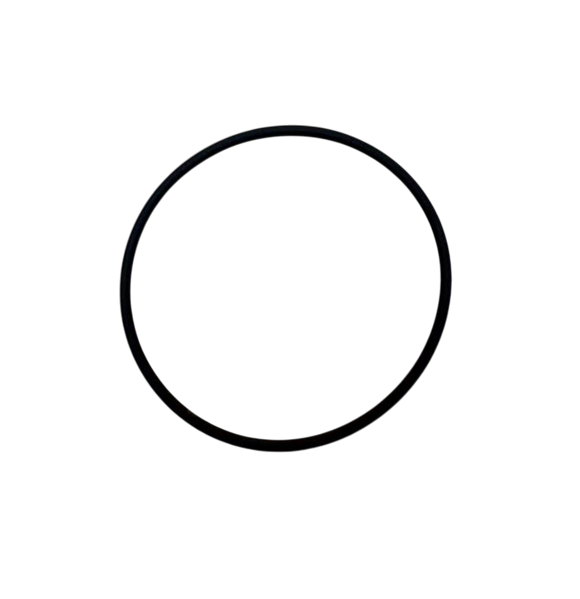 01180060 DEUTZ O RING THERMOSTAT HOUSING